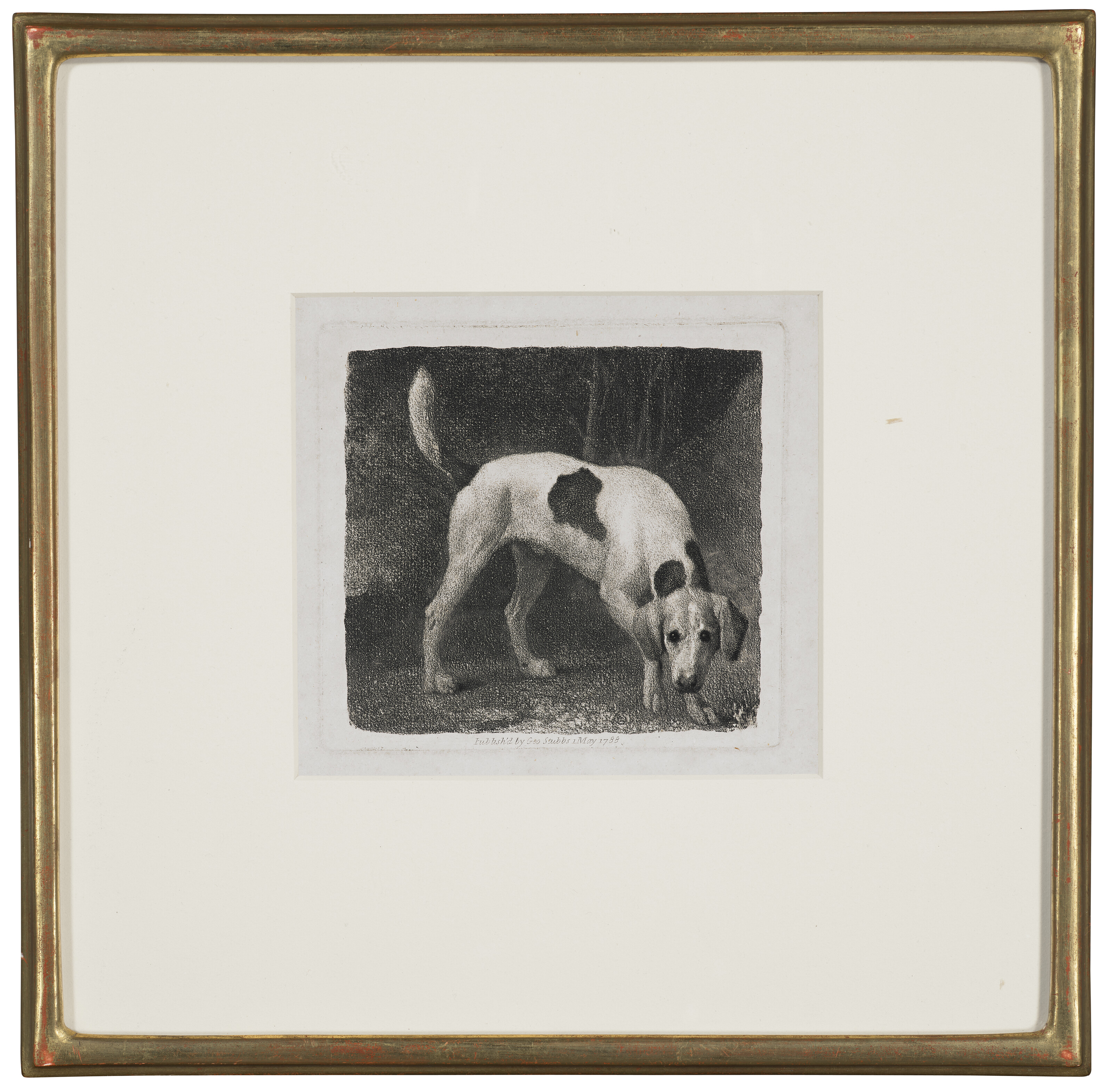George Stubbs — Собака (Гончая, идущая по следу), изображение 2