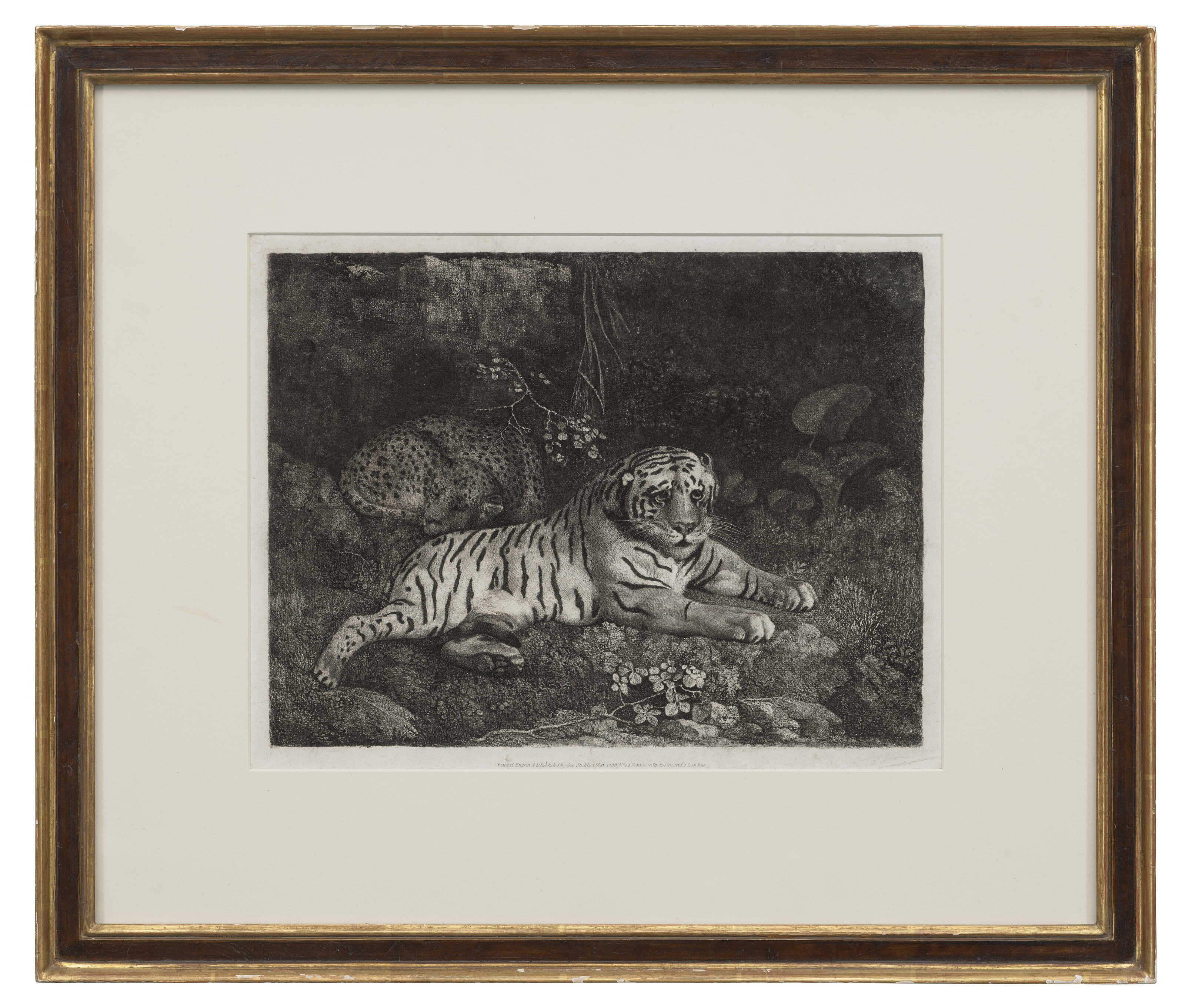 George Stubbs — Два тигра, изображение 2