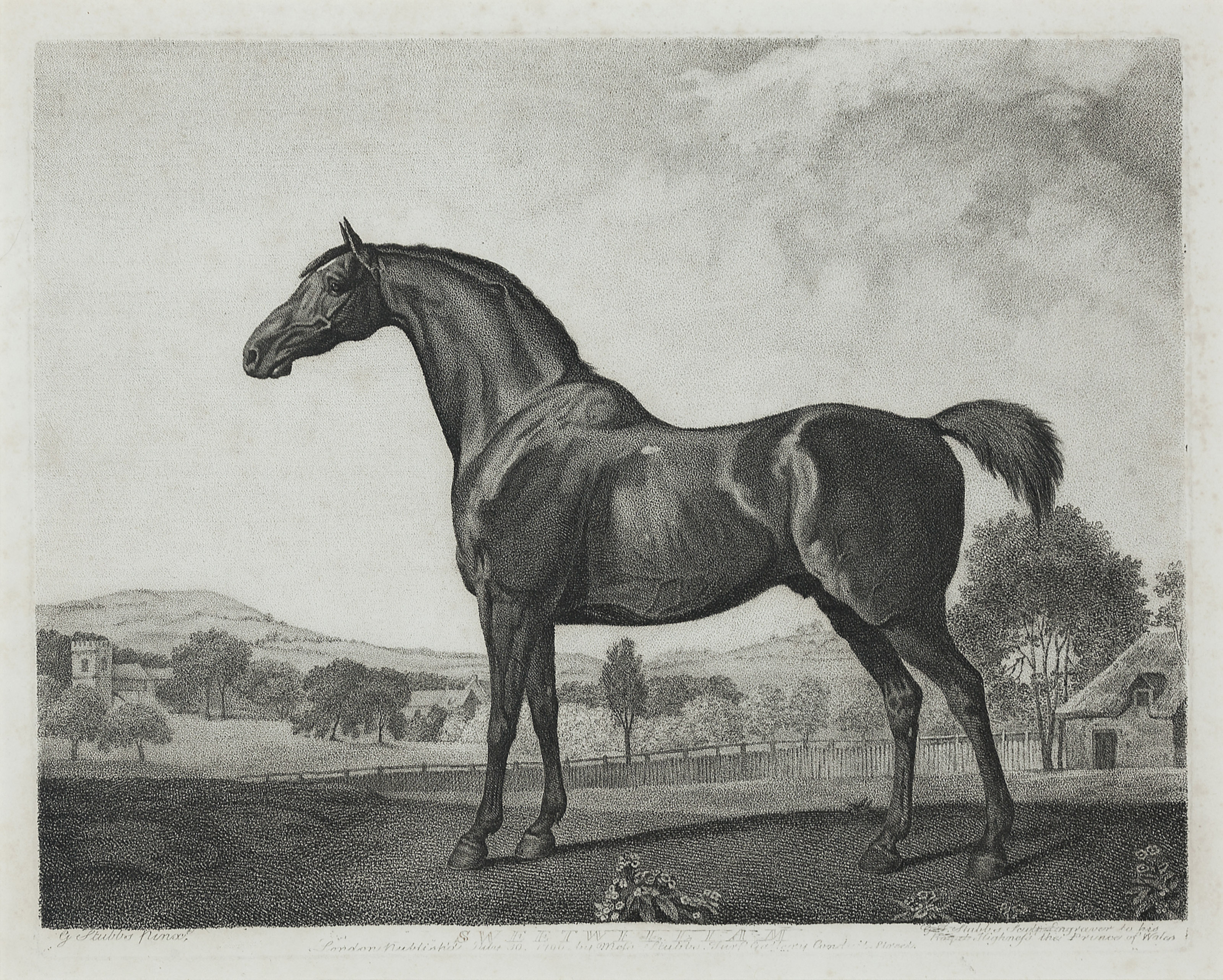 George Stubbs — Баронет, Шарк, Суитуильям и Эклипс, изображение 2