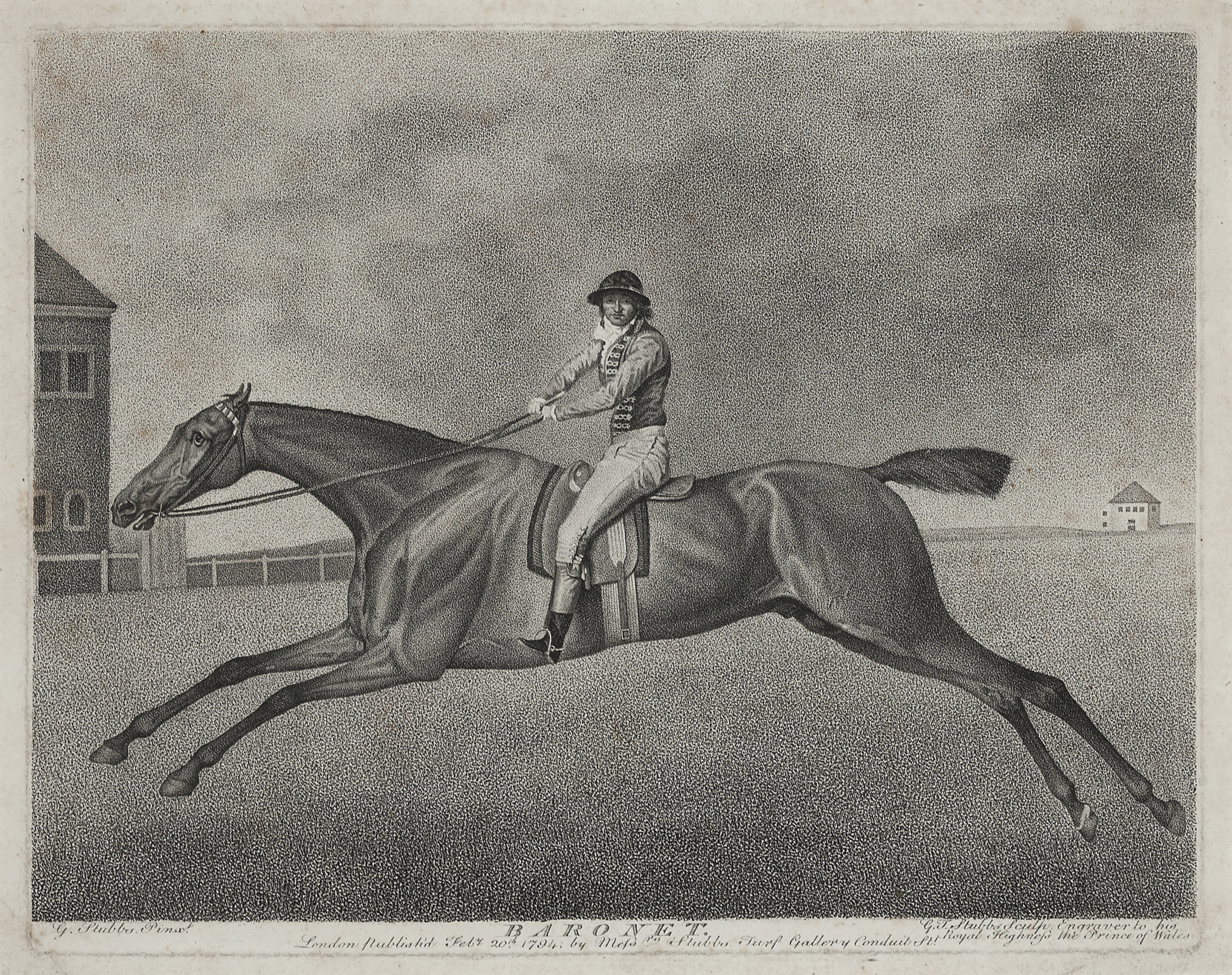 George Stubbs — Баронет, Шарк, Суитуильям и Эклипс, изображение 3