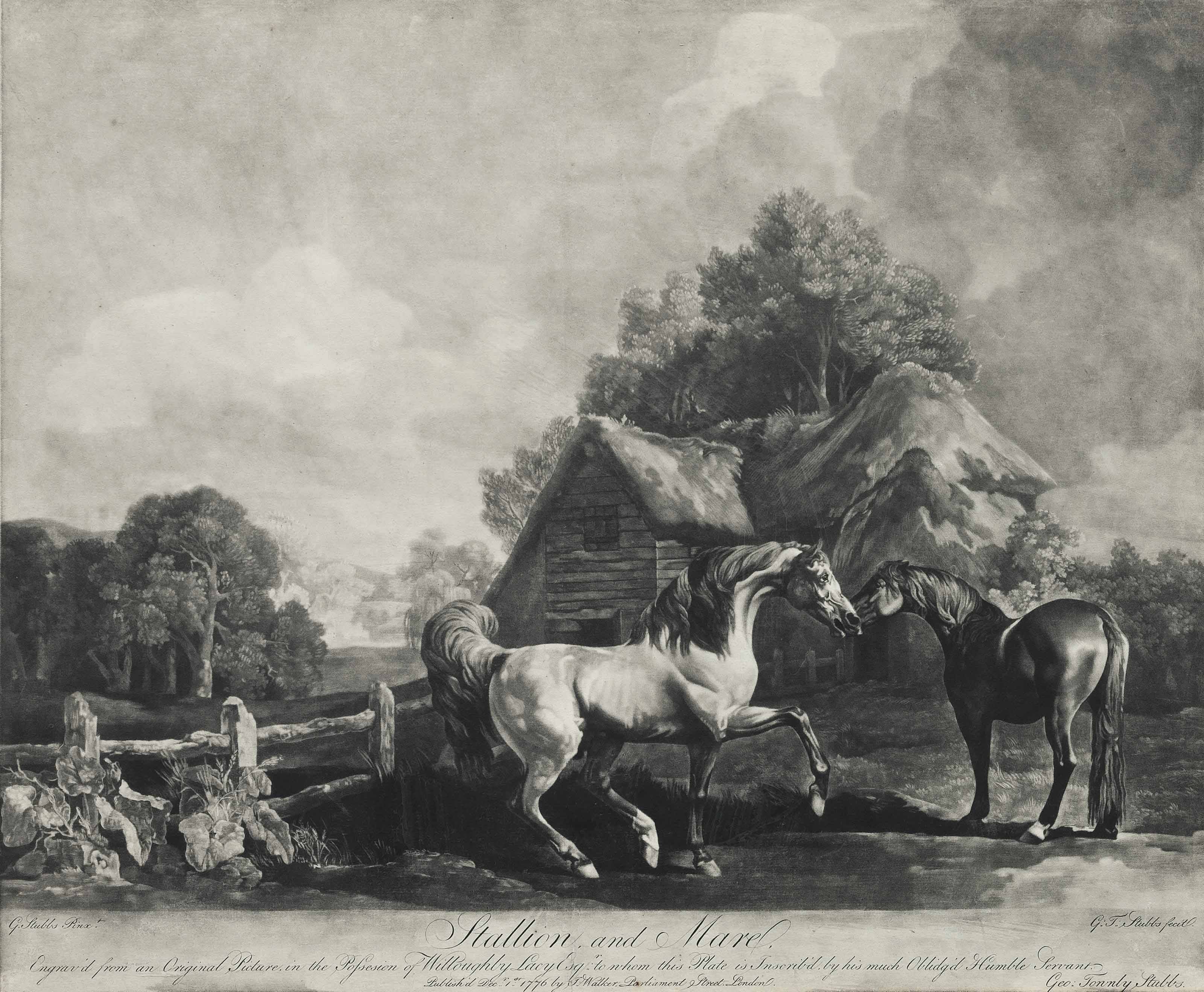 George Stubbs — Жеребец и кобыла, изображение 1