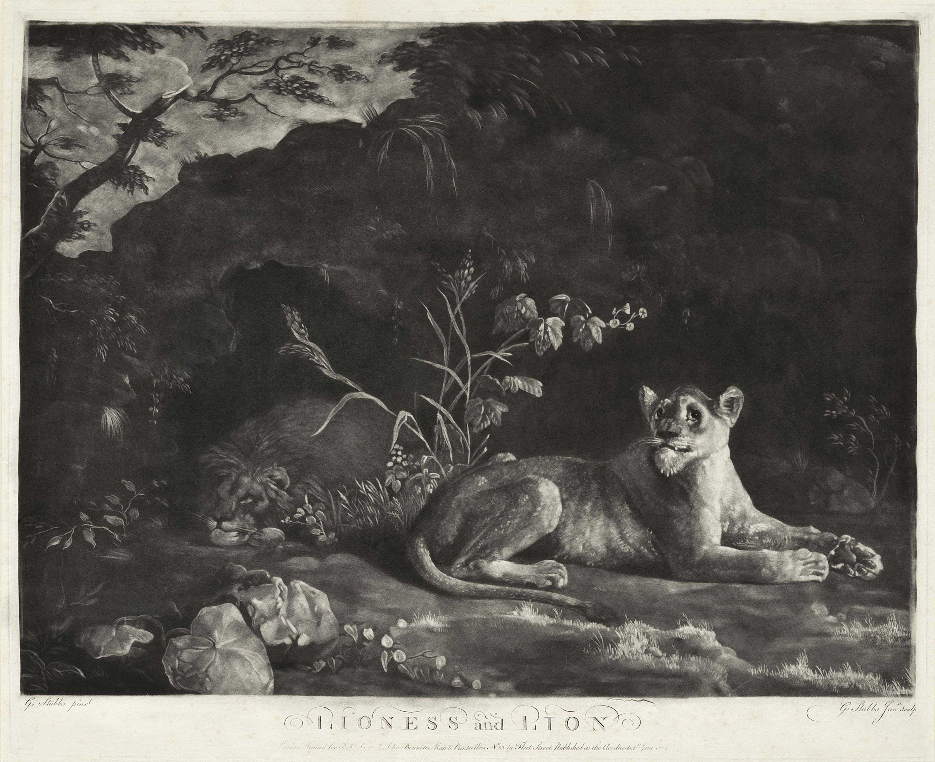 George Stubbs — Жеребец и кобыла, изображение 2