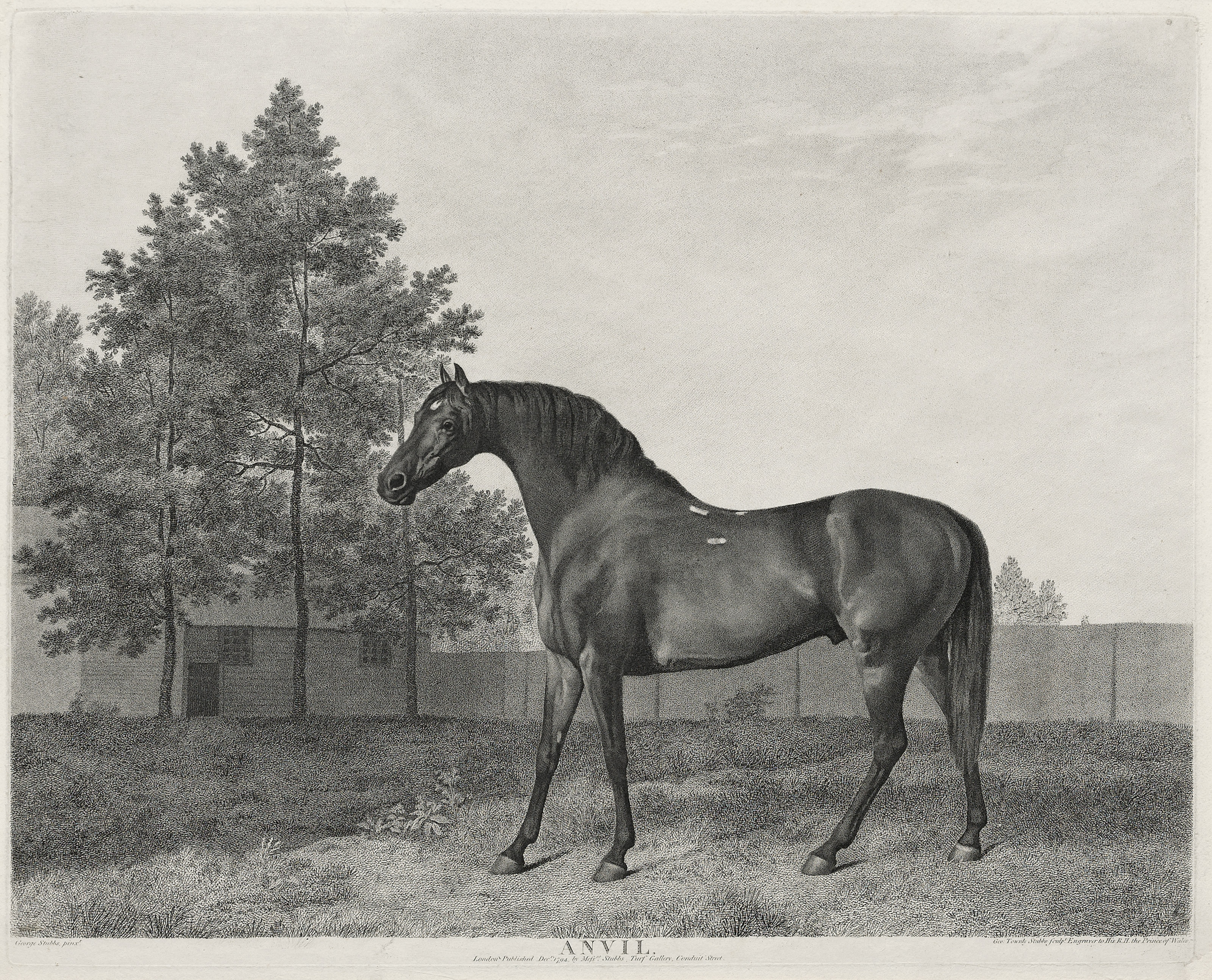 George Stubbs — Наковальня и Свитуильям, изображение 2