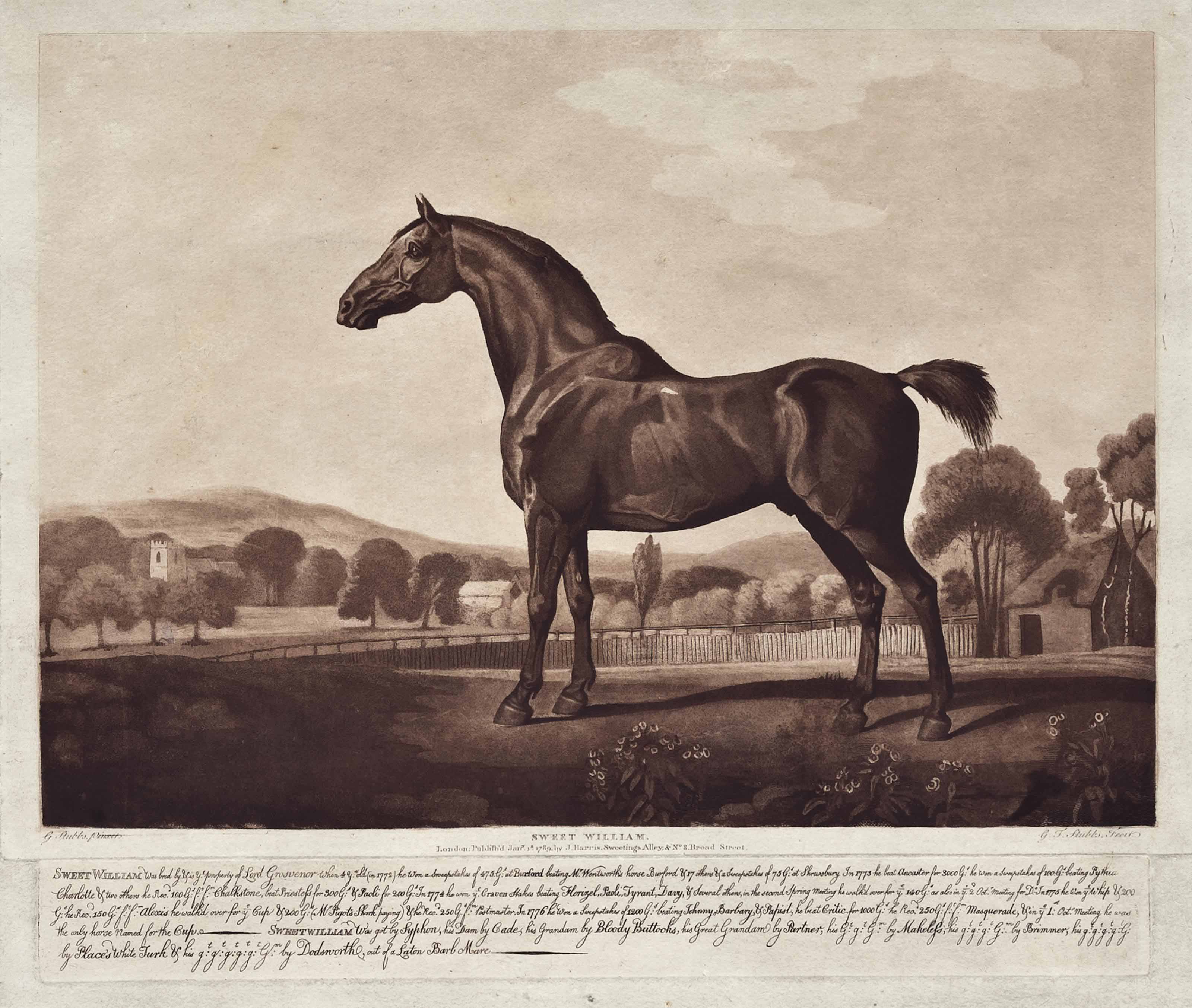 George Stubbs — Милый Уильям