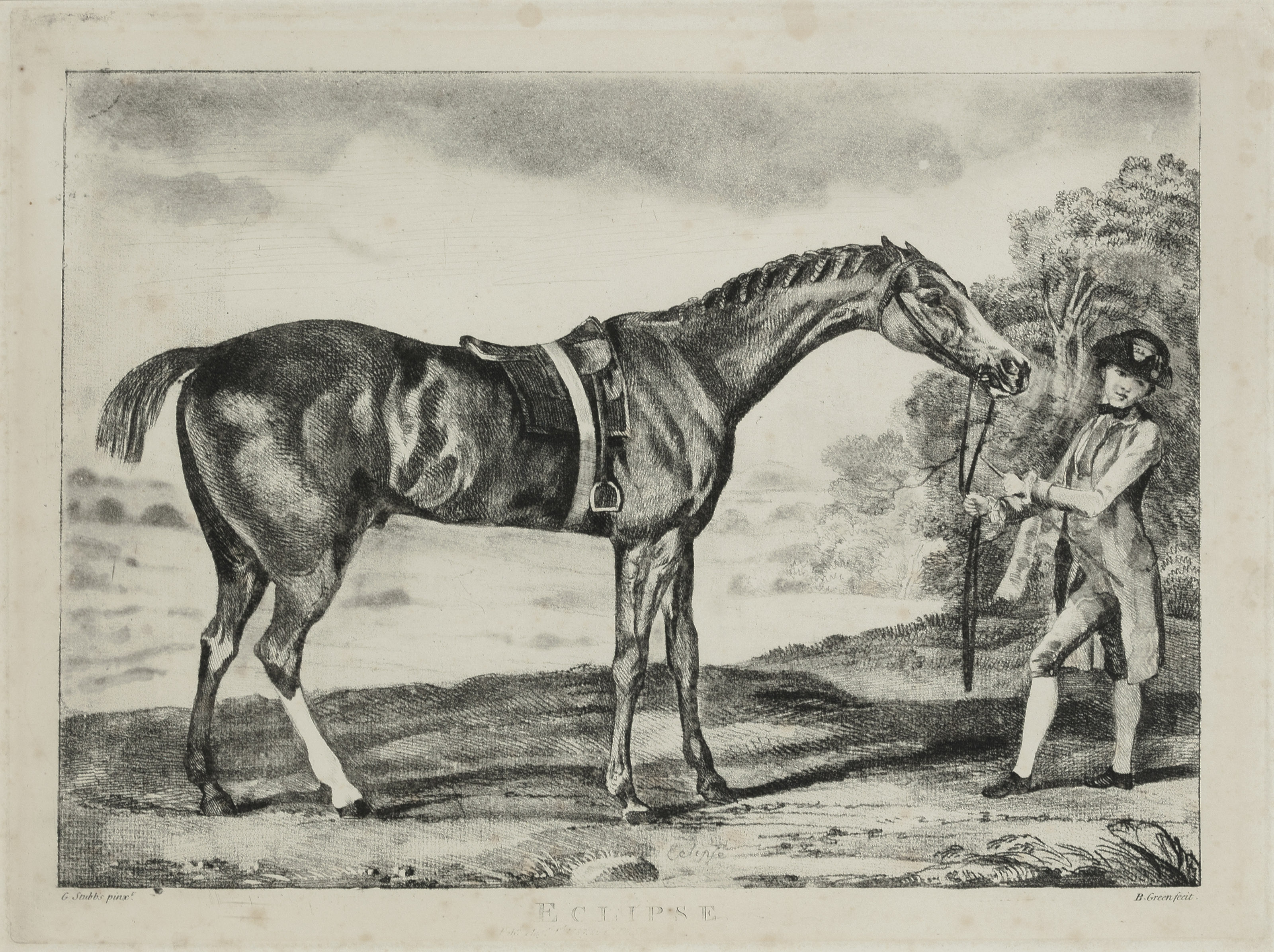 George Stubbs — Милый Уильям, изображение 2