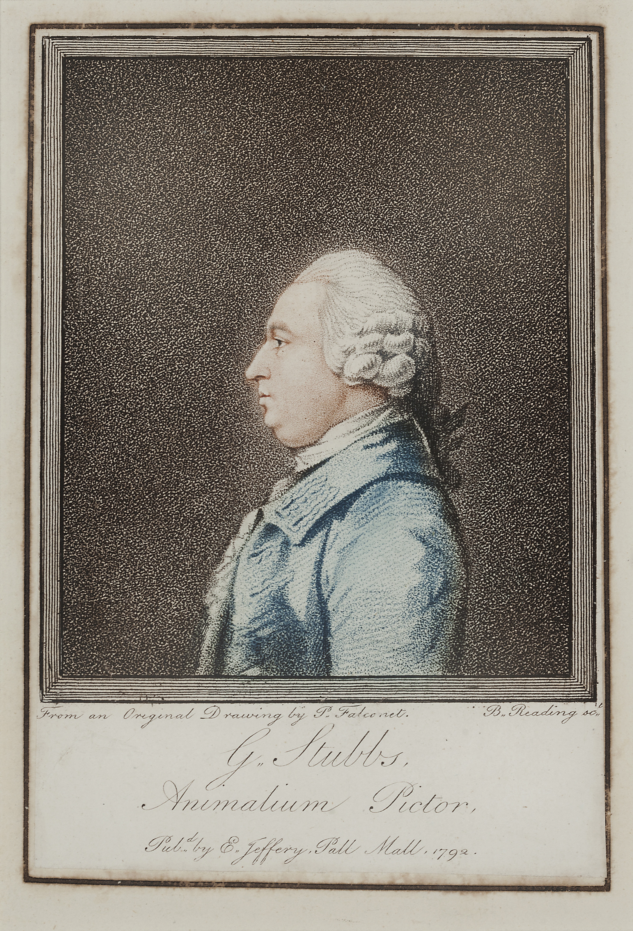 George Stubbs — Милый Уильям, изображение 4