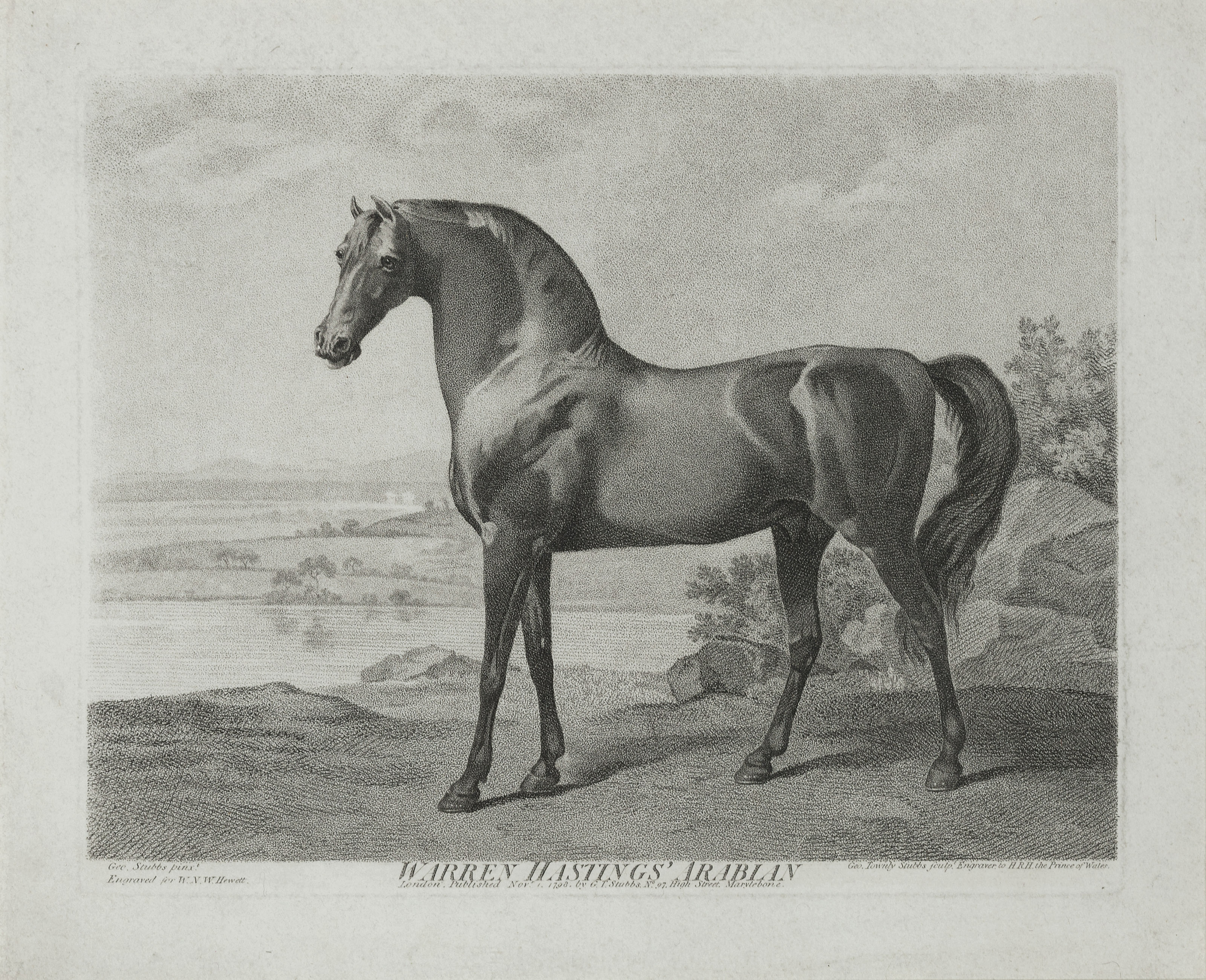 George Stubbs — "Наковальня", "безделушка" и "Арабский язык" Уоррена Гастингса., изображение 3