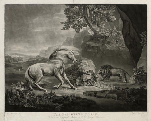 George Stubbs — Испуганная лошадь