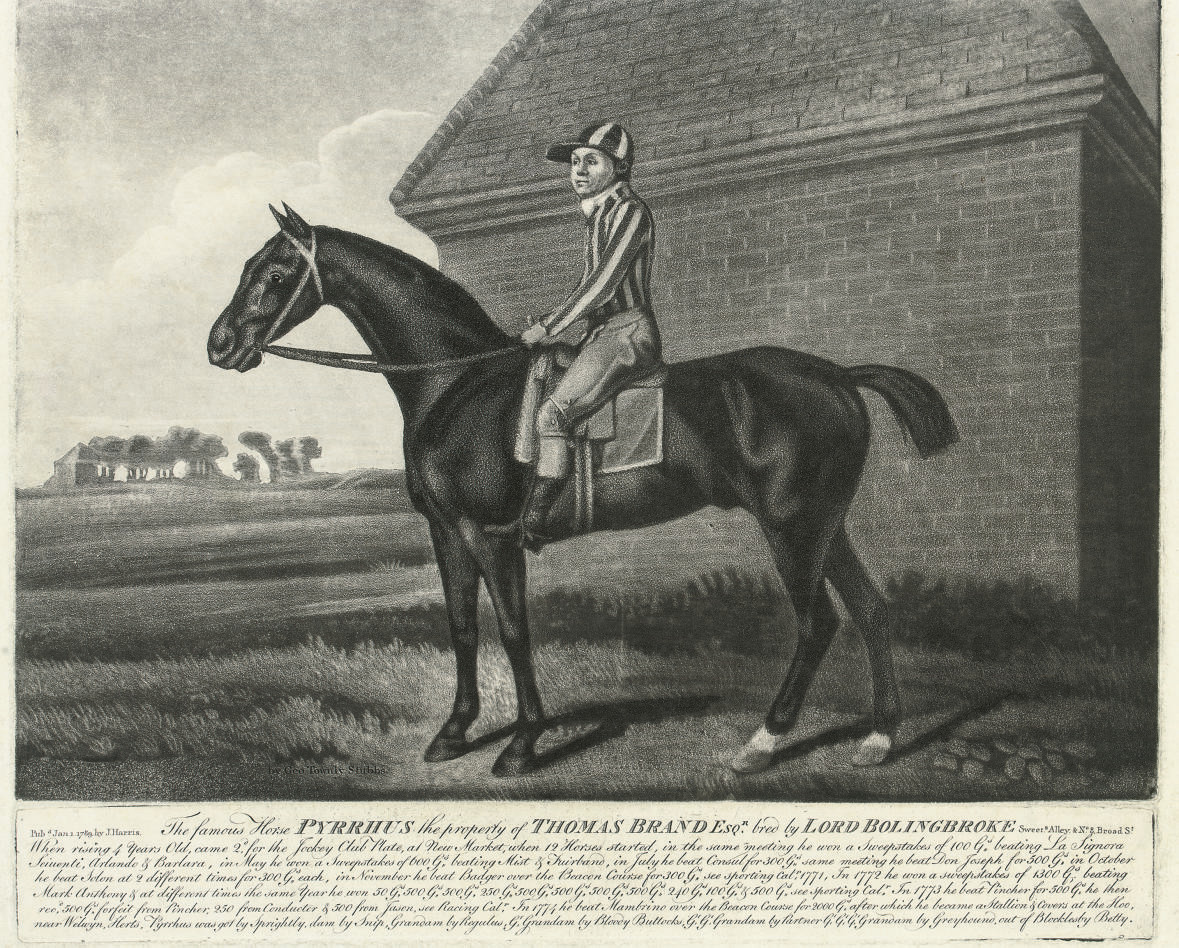 George Stubbs — Знаменитый конь Пирр