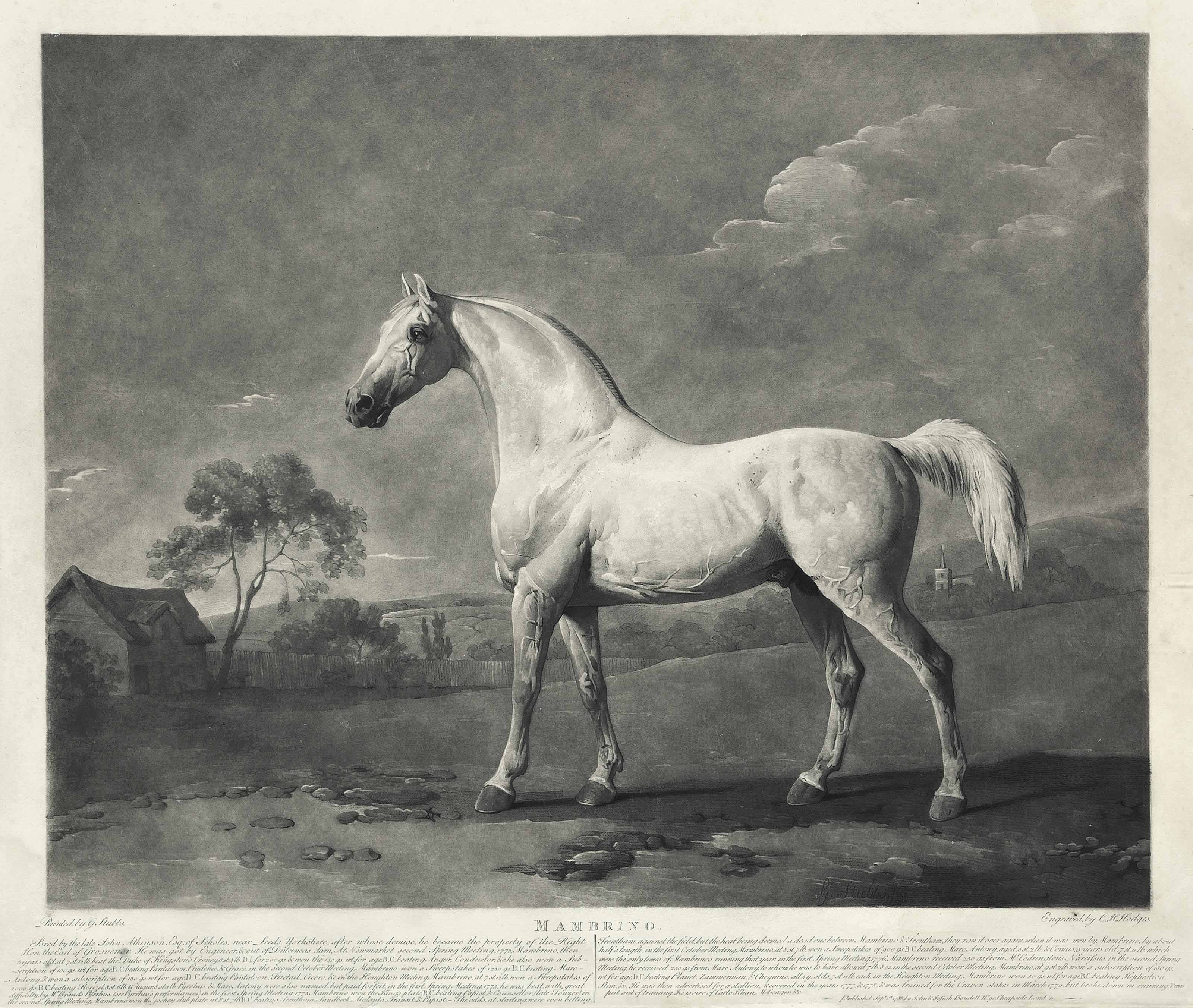 George Stubbs — Мамбрино; и защитник