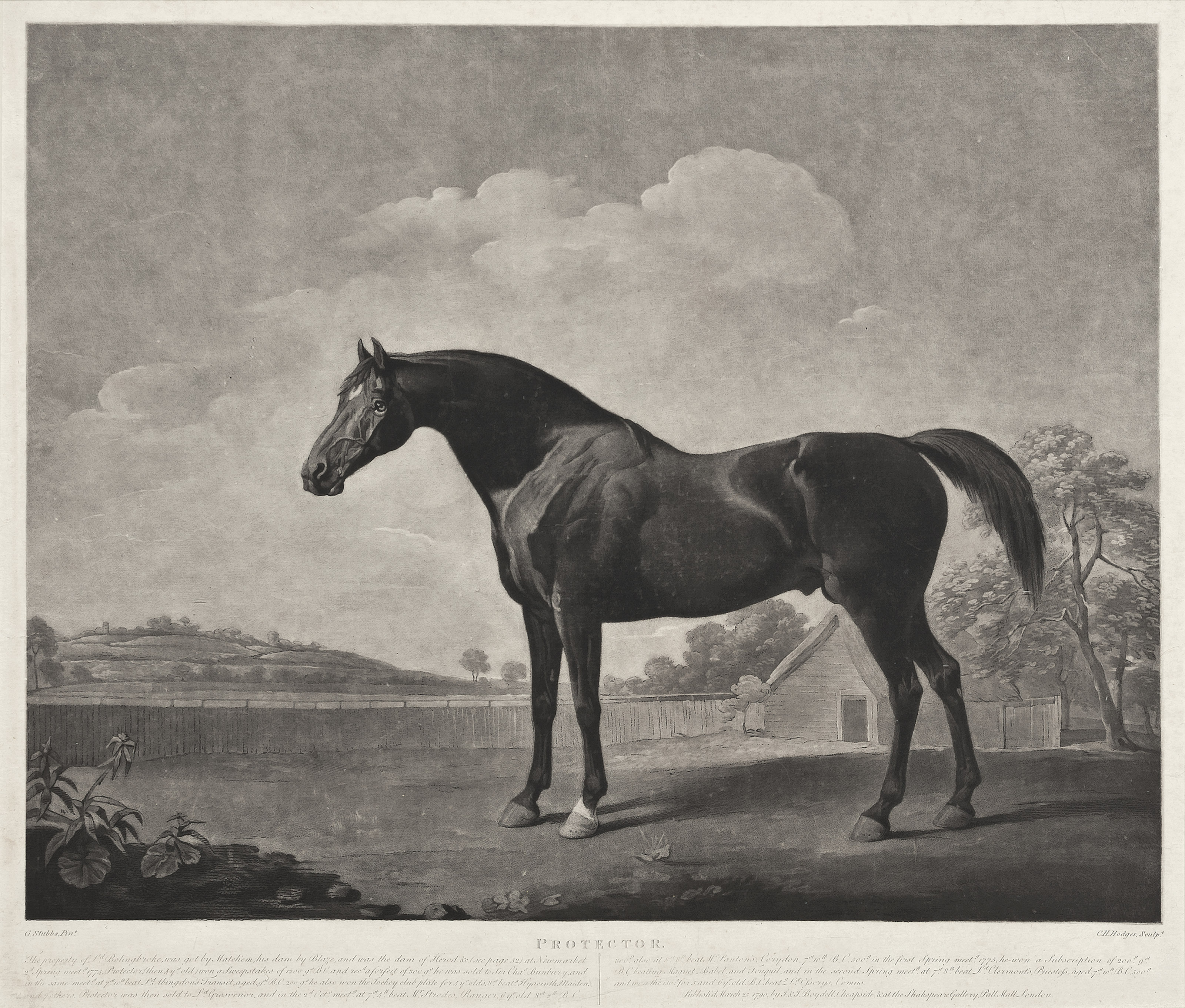 George Stubbs — Мамбрино; и защитник, изображение 2
