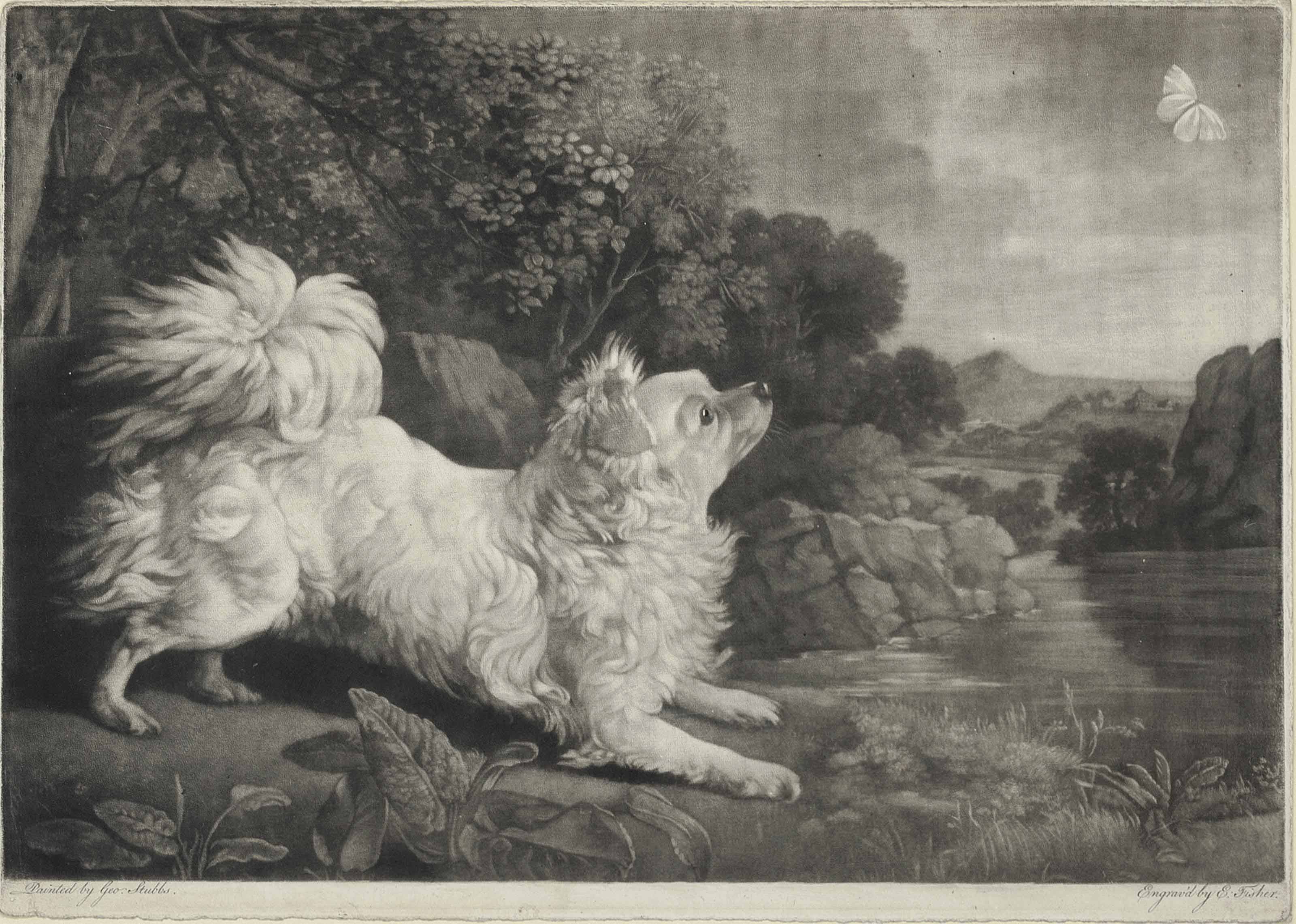 George Stubbs — Французская лисья собака
