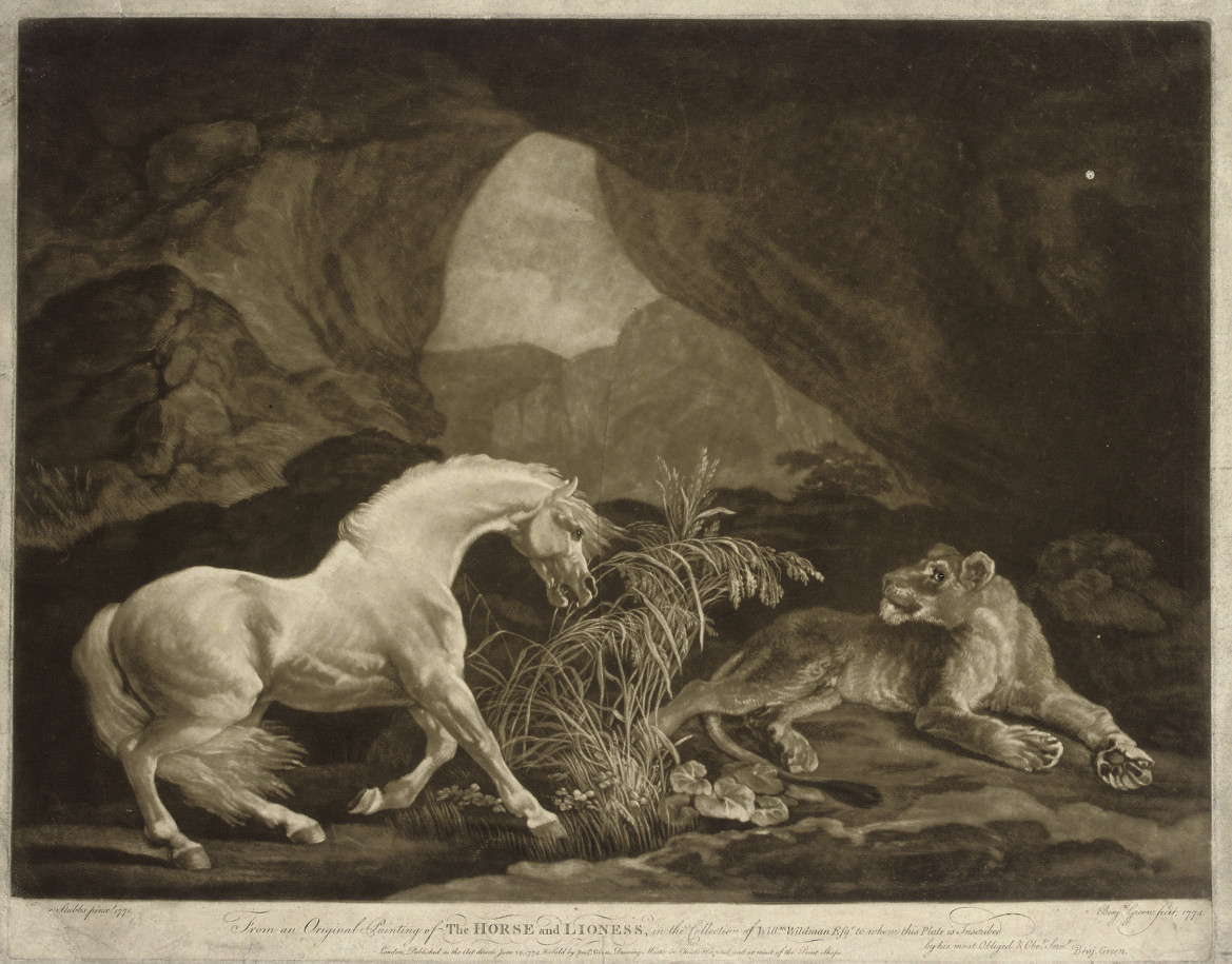 George Stubbs — Конь и львица
