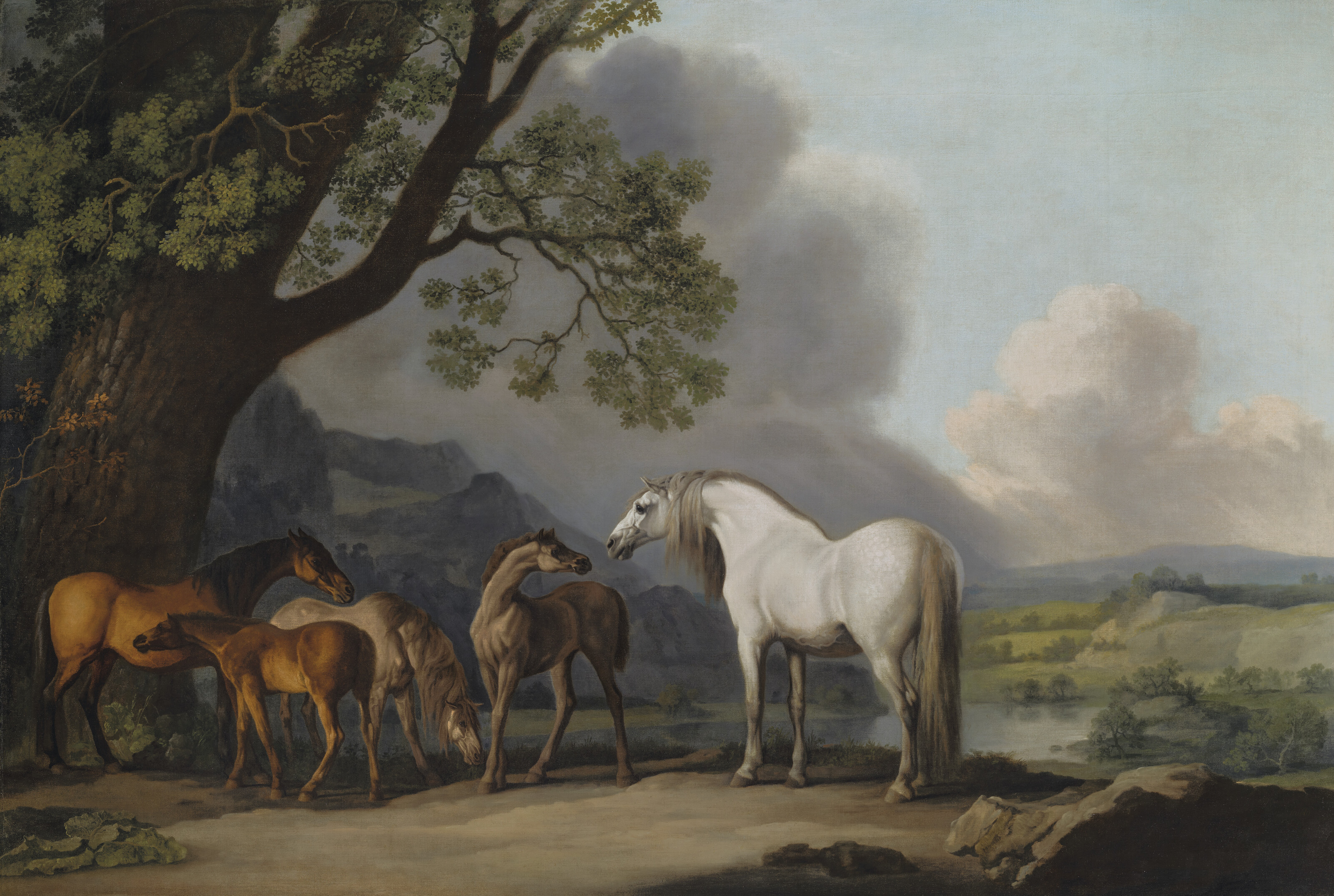 George Stubbs — Кобылы и жеребята на фоне обширного ландшафта
