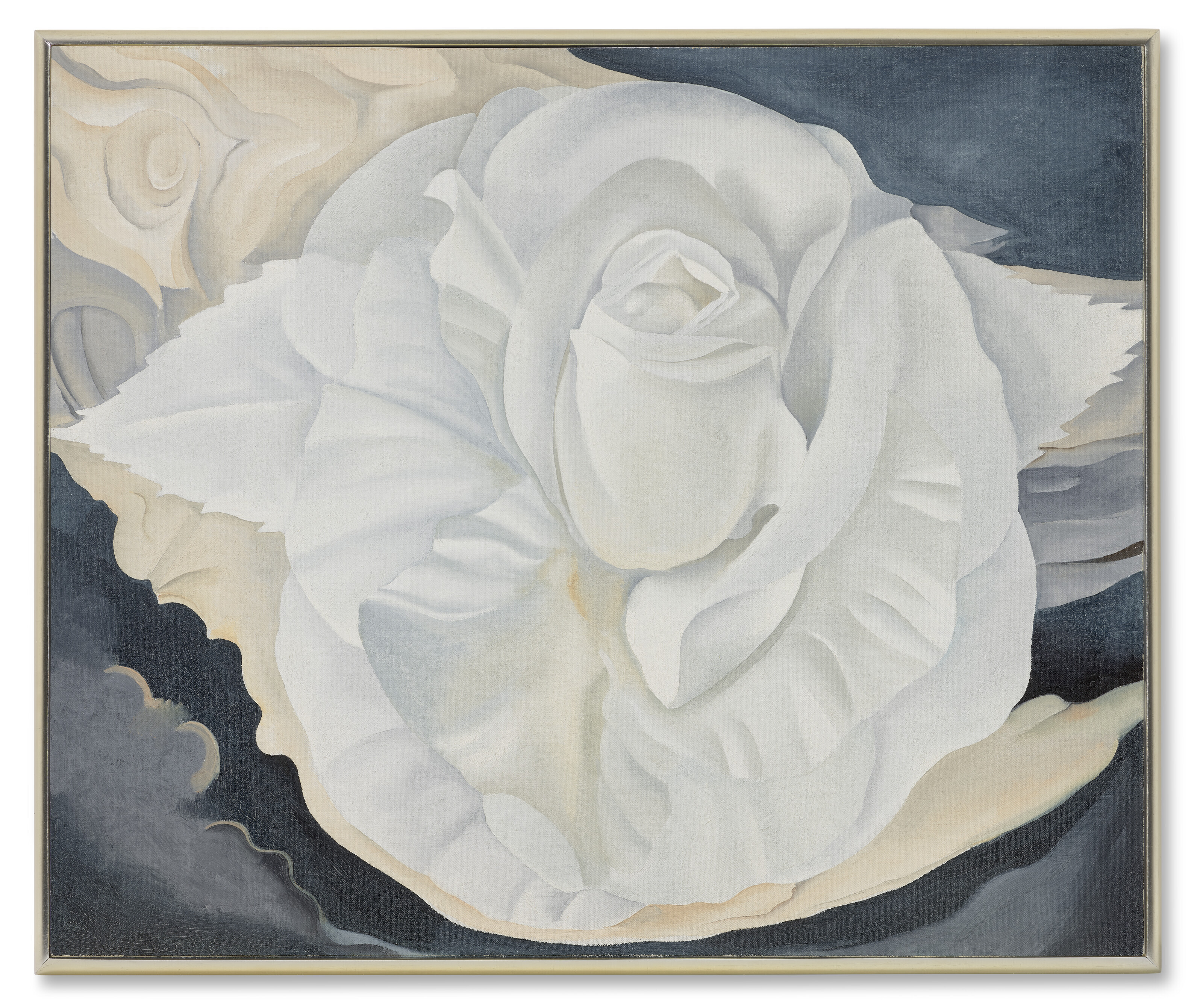 Georgia O’Keeffe — Белая ситцевая роза, изображение 2