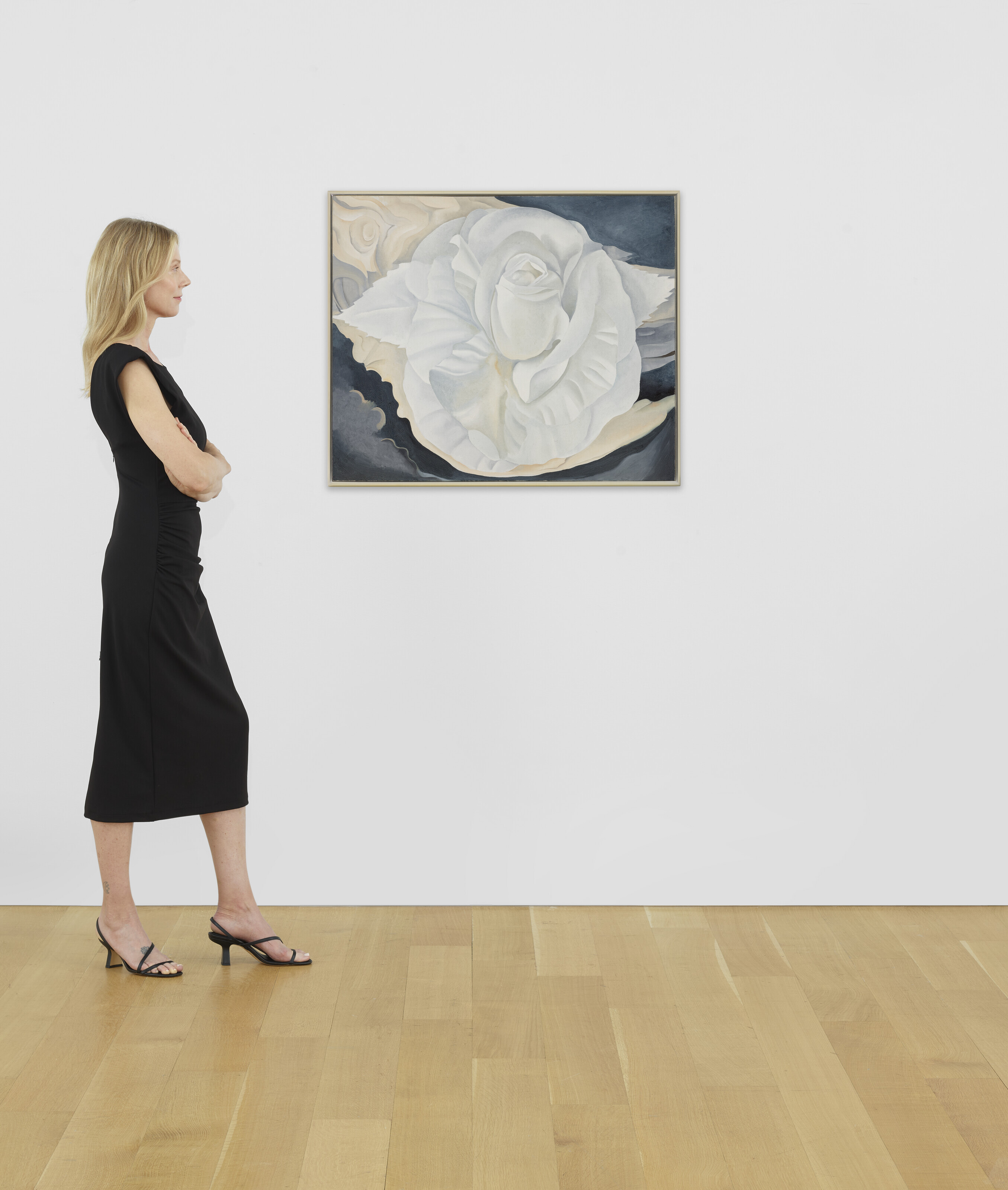 Georgia O’Keeffe — Белая ситцевая роза, изображение 4