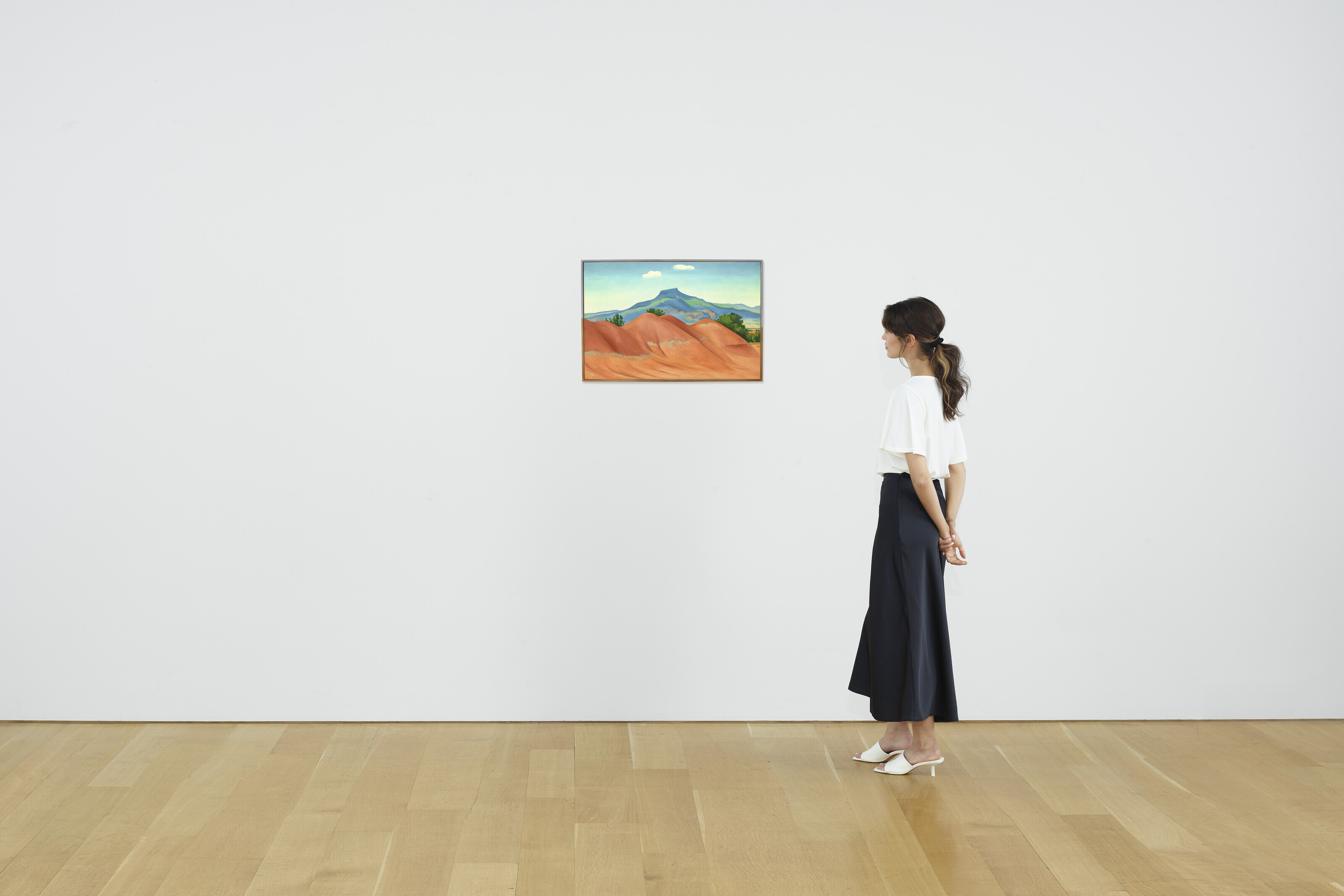 Georgia O’Keeffe — Красные холмы с Педернальными белыми облаками, изображение 4