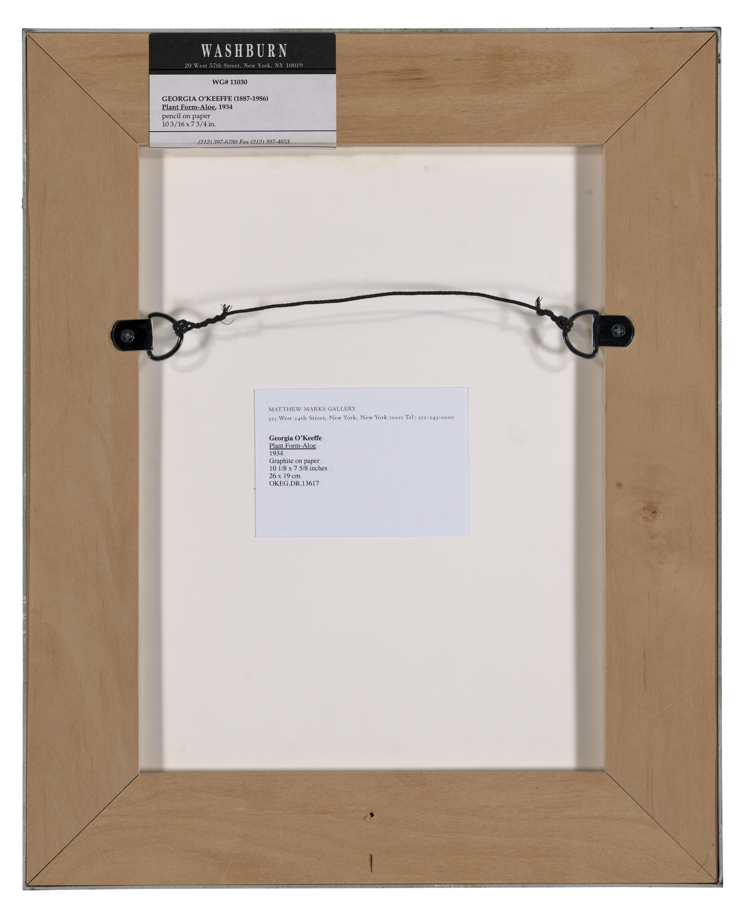 Georgia O’Keeffe — Форма растения-Алоэ, изображение 3