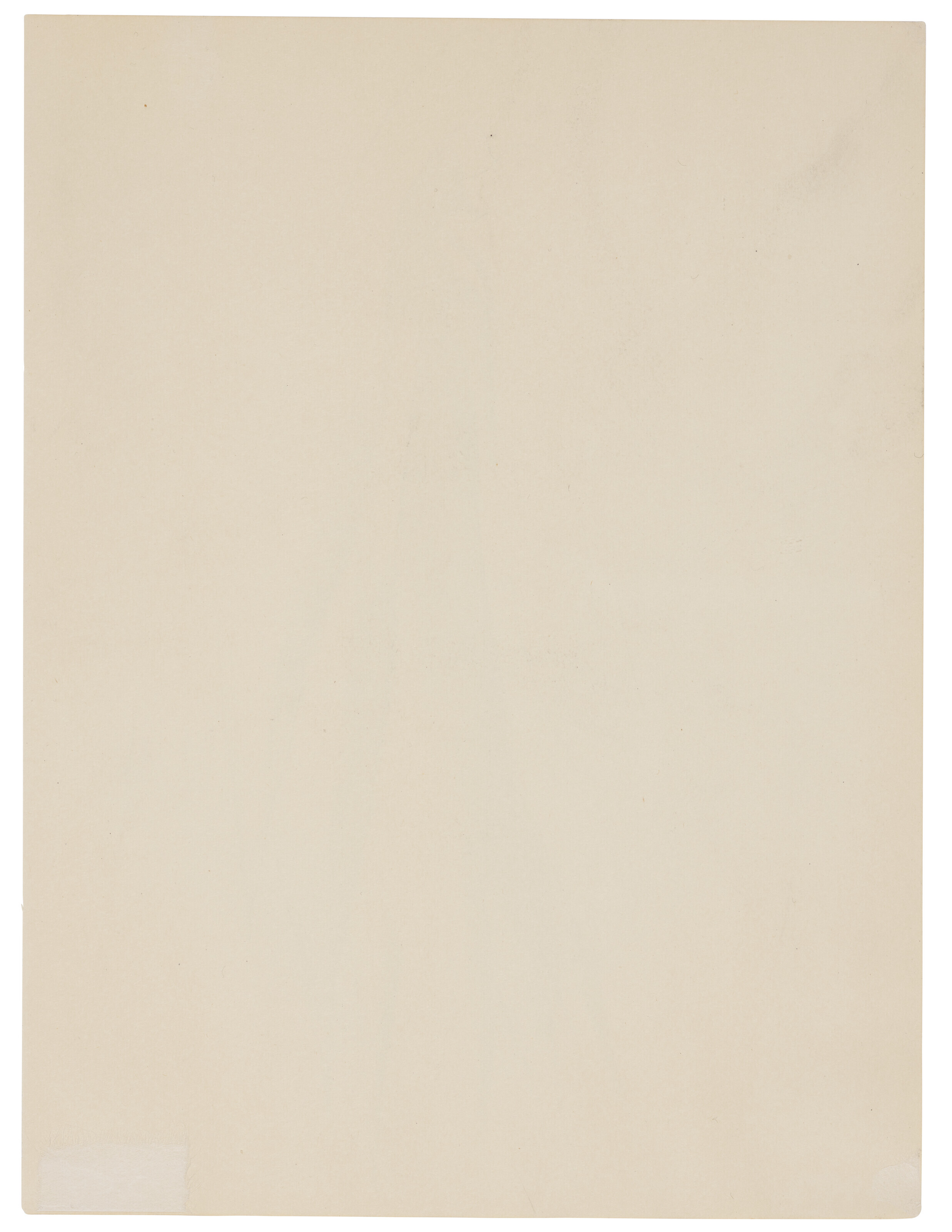 Georgia O’Keeffe — Форма растения-Алоэ, изображение 4
