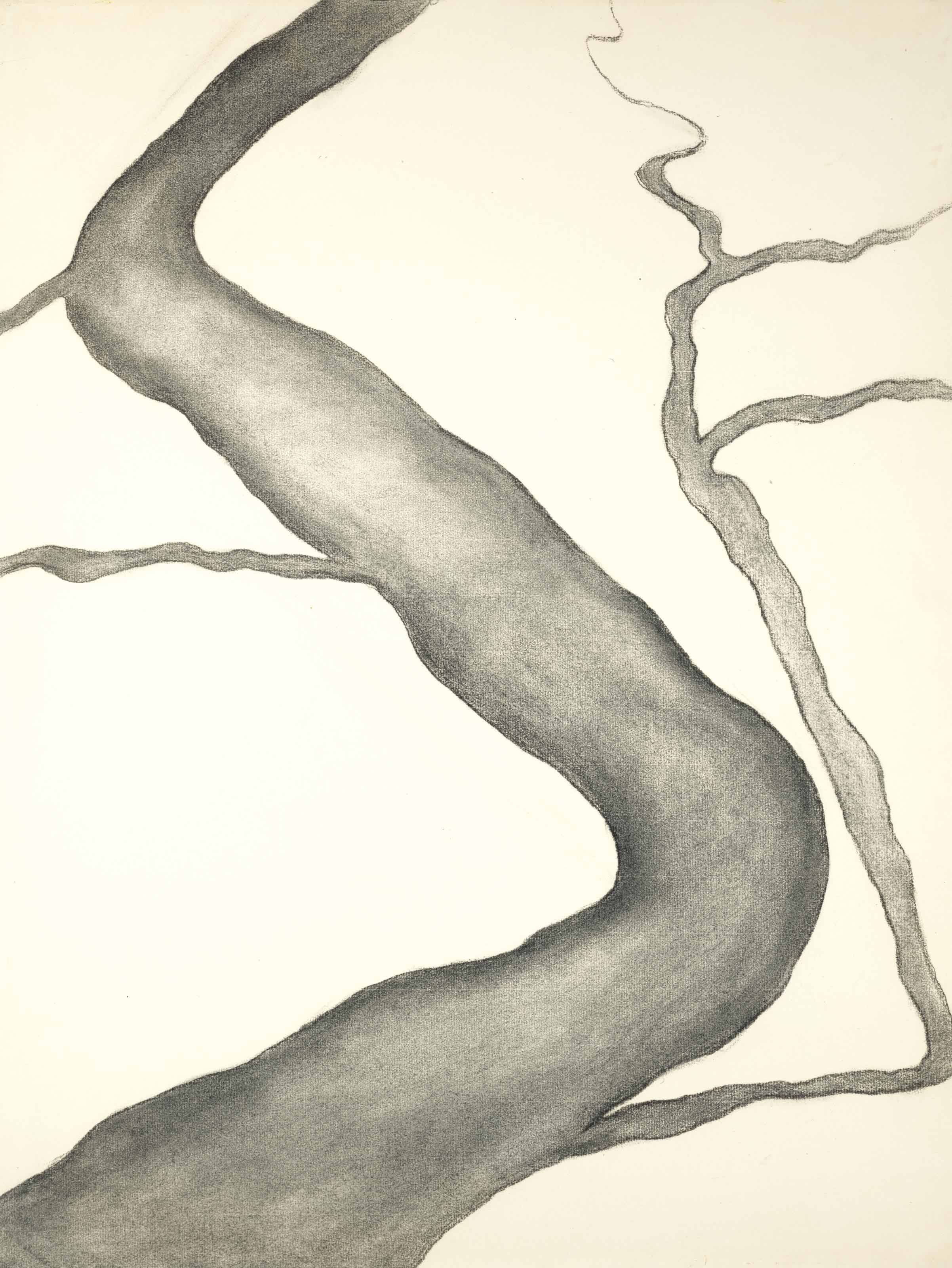 Georgia O’Keeffe — Рисунок I