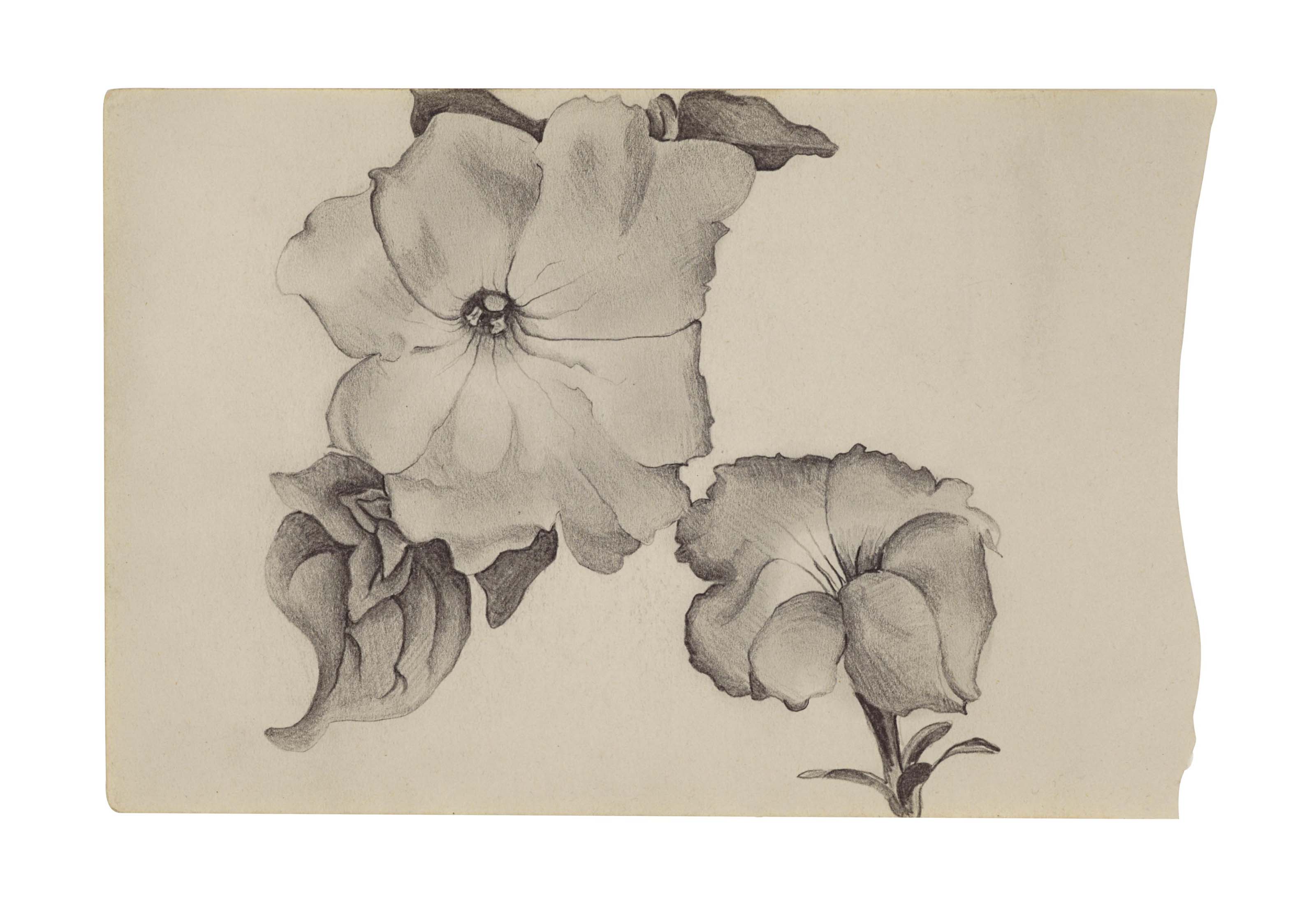 Georgia O’Keeffe — Две петунии