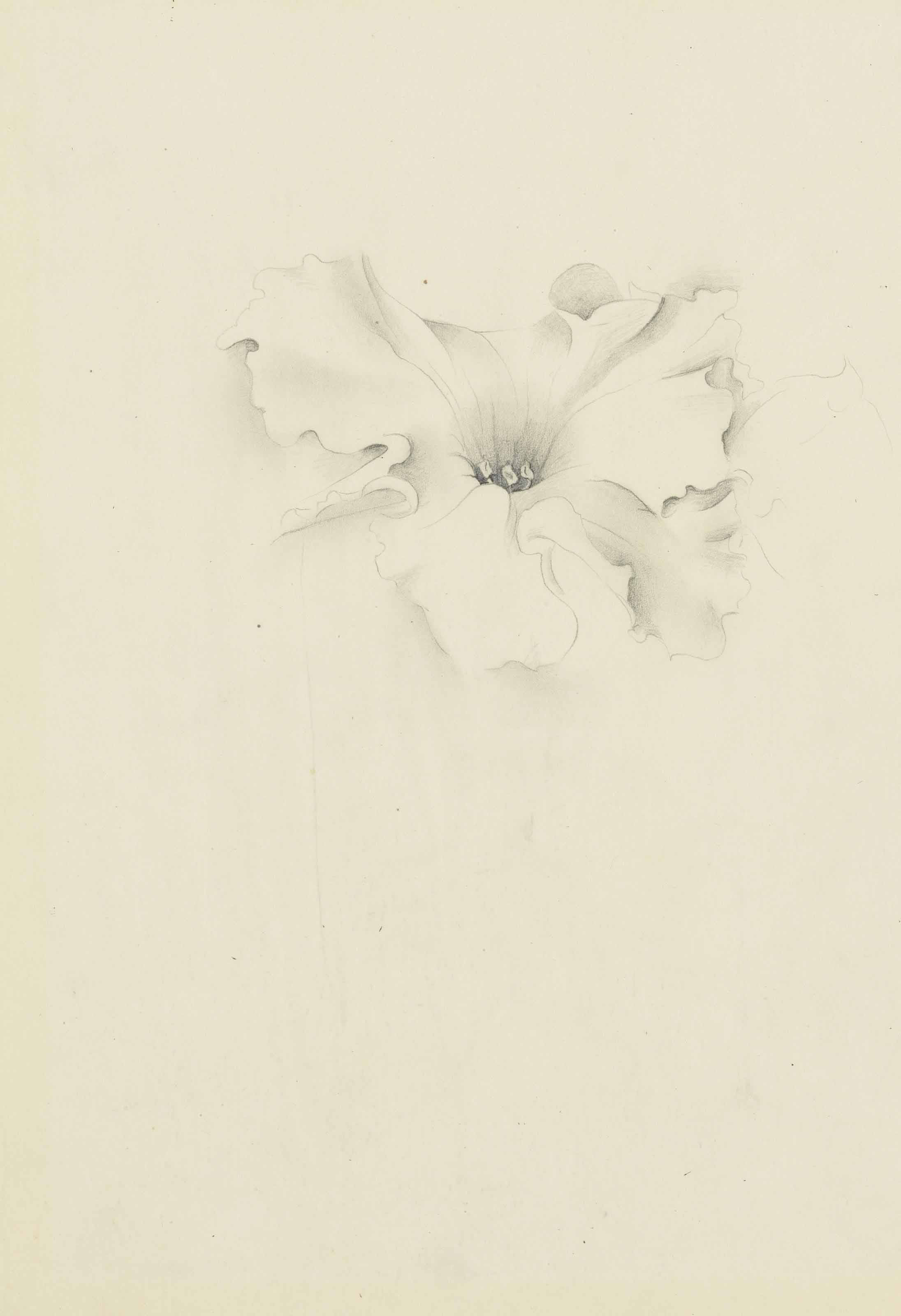Georgia O’Keeffe — Без названия (Цветок)