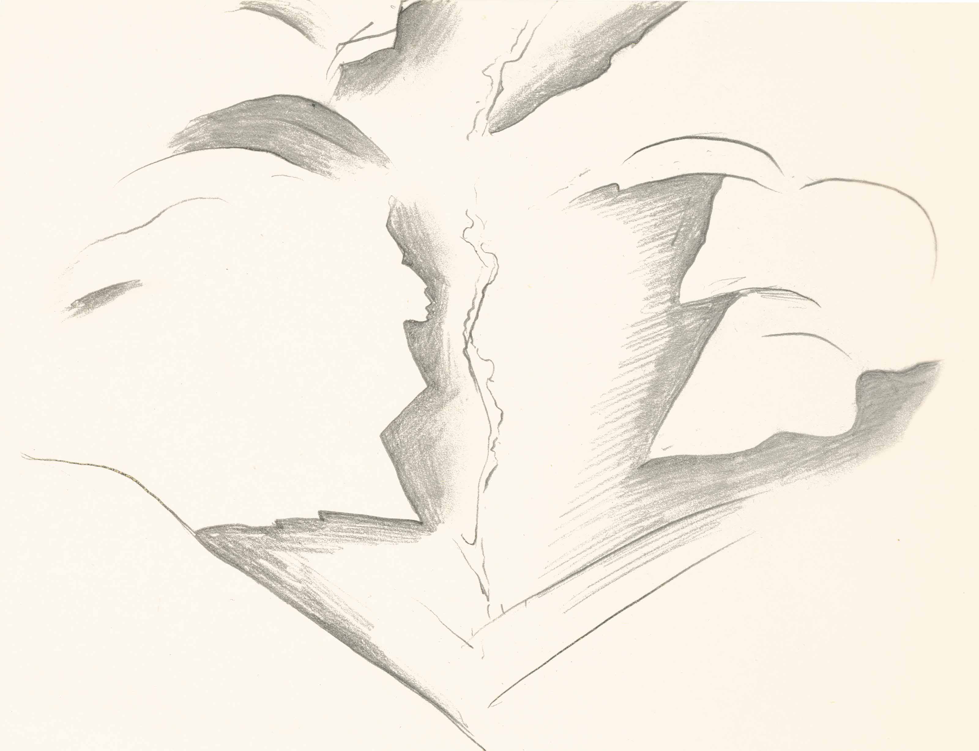 Georgia O’Keeffe — Без названия (Черное место)