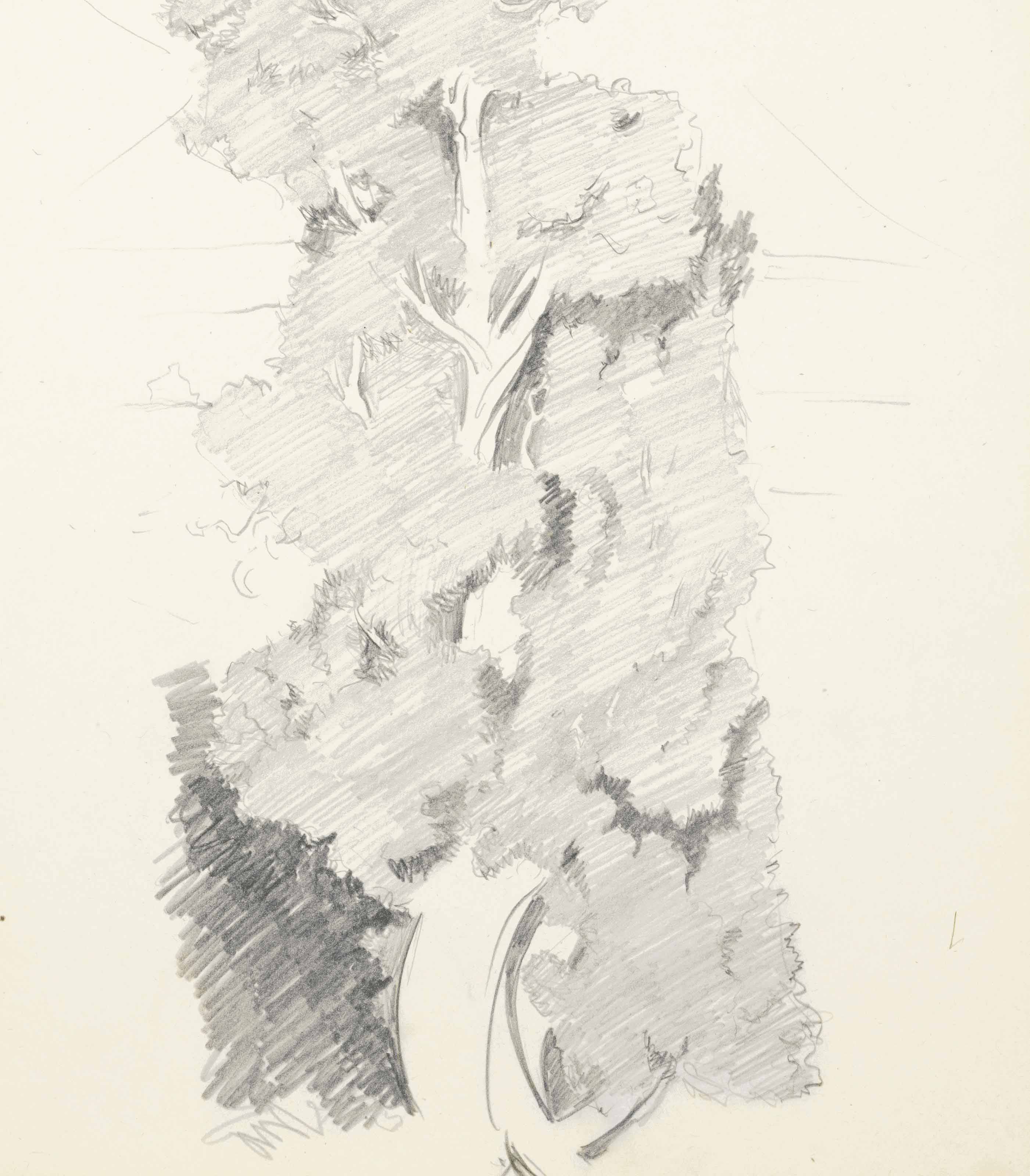 Georgia O’Keeffe — Сосновые и кедровые деревья