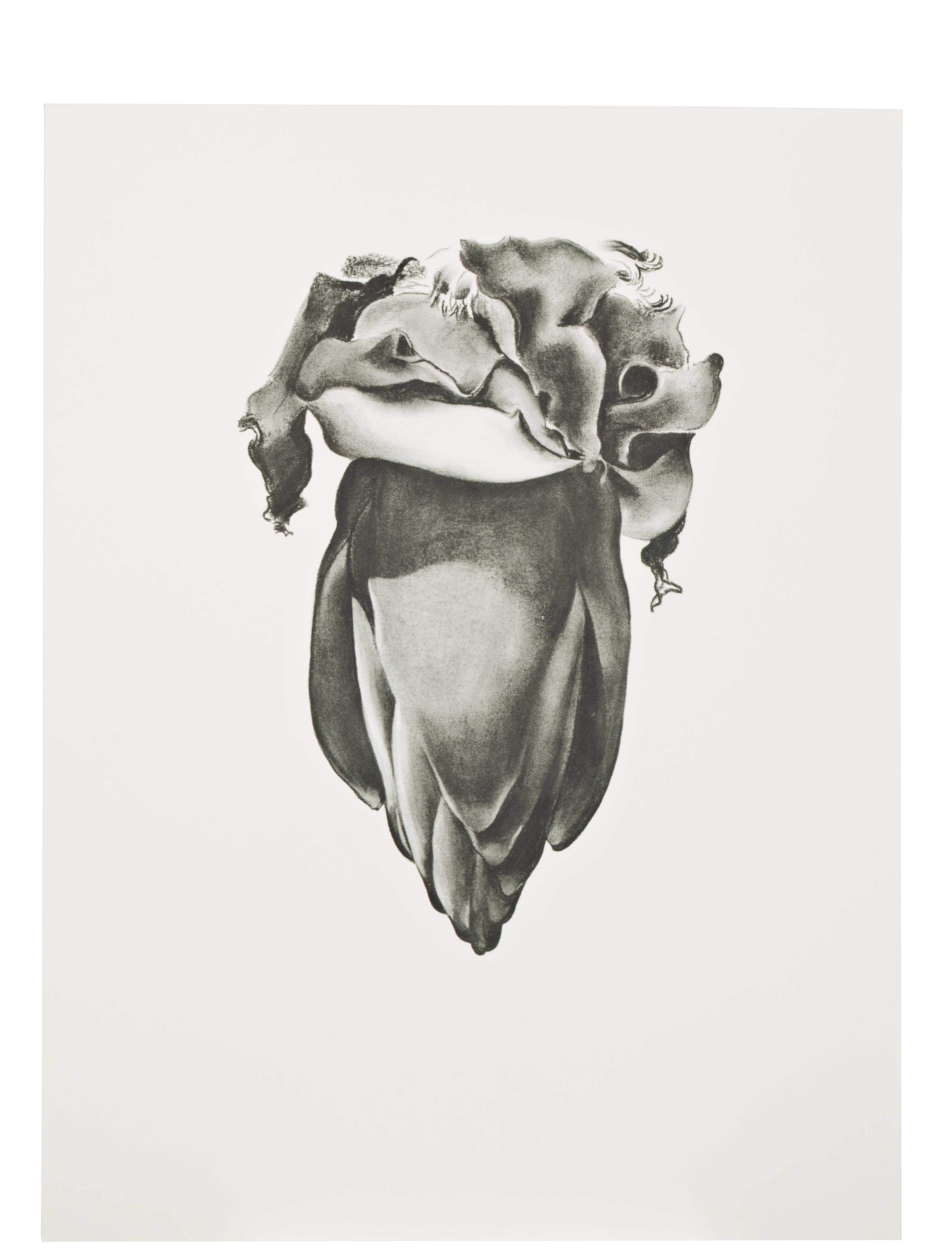 Georgia O’Keeffe — Рисунки Джорджии О'Кифф