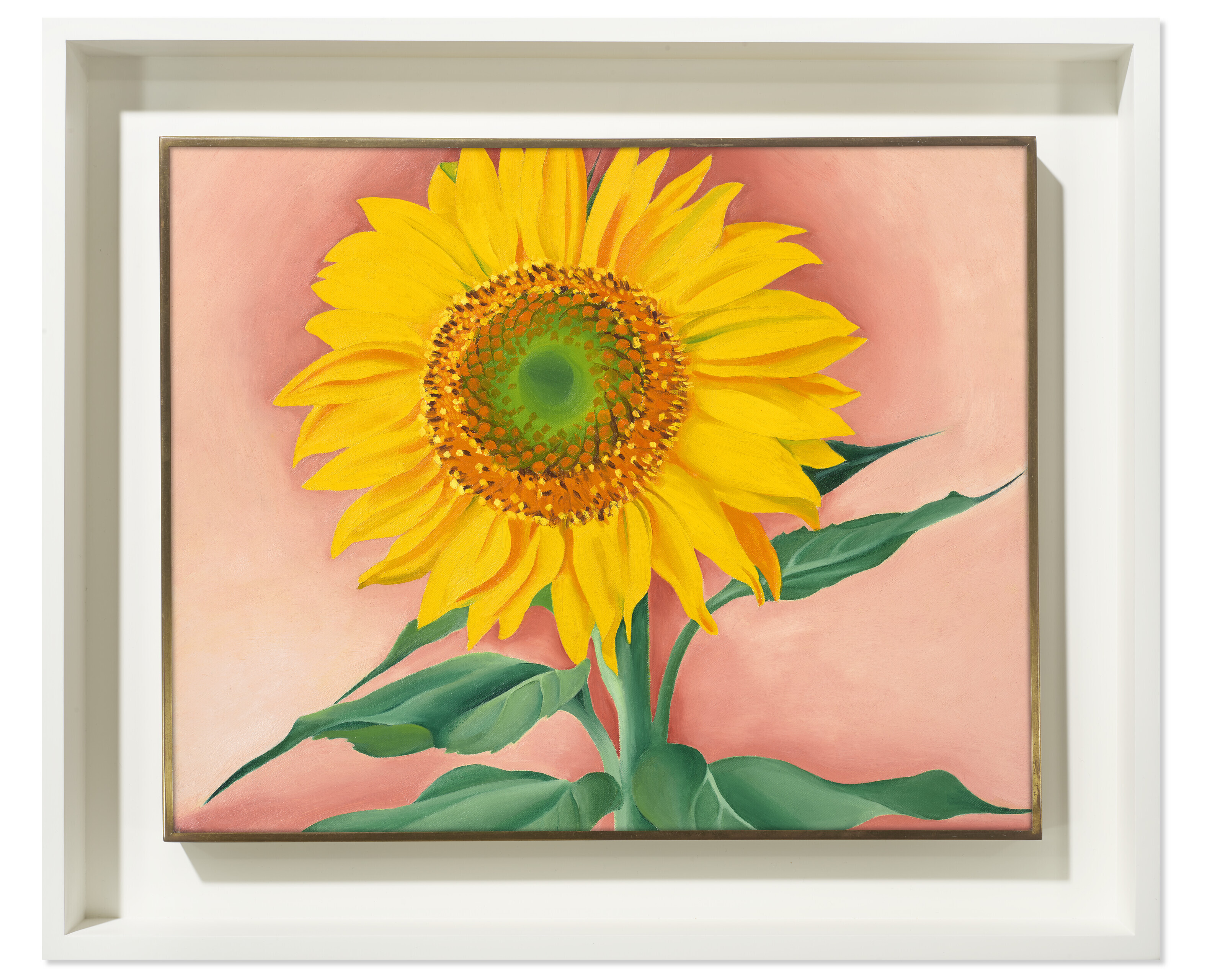 Georgia O’Keeffe — Подсолнух от Мэгги, изображение 2