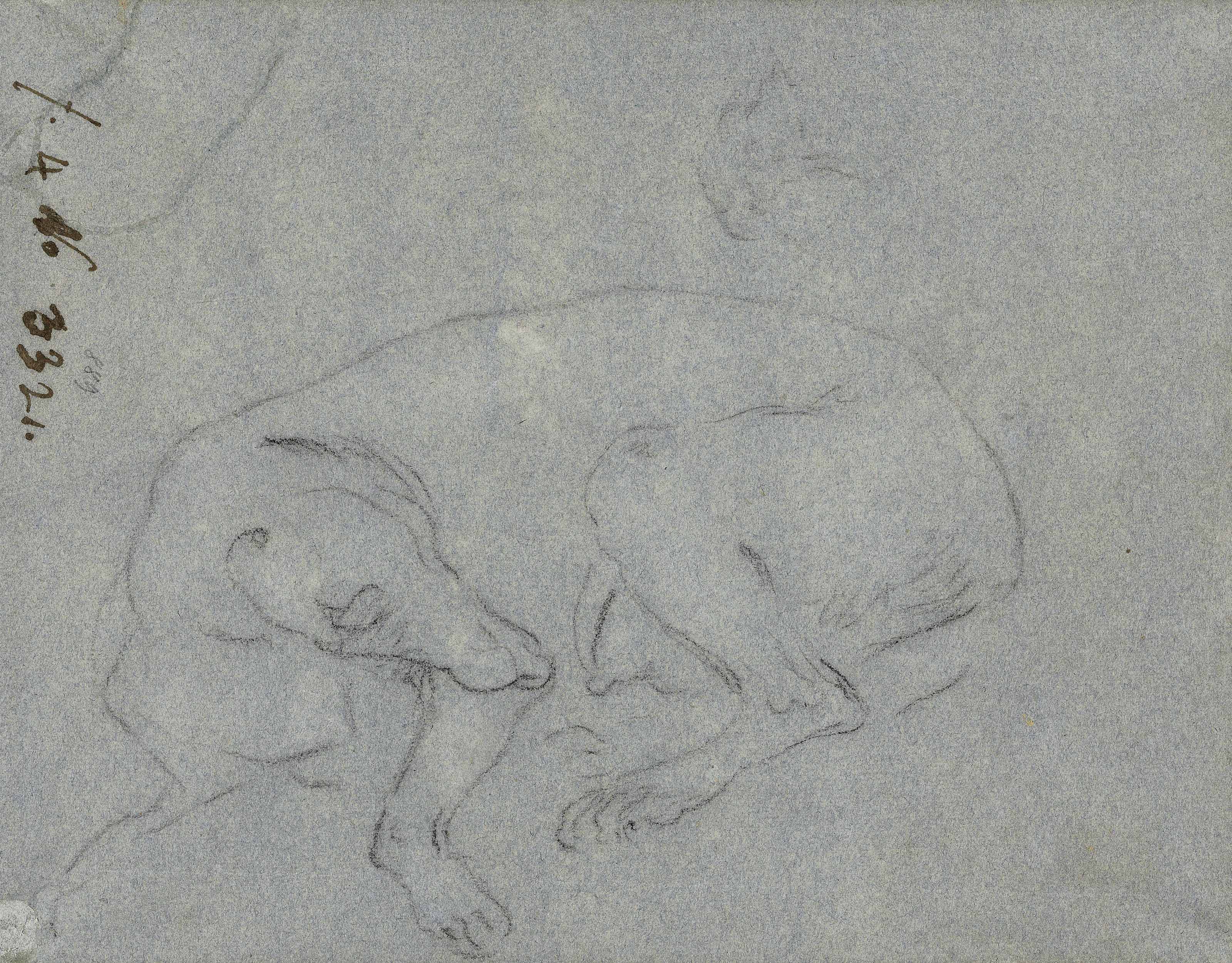 Giovanni Battista Tiepolo — Этюд ангела, держащего кувшин, длиной в три четверти (справа ); Этюд собаки ( сзади ), изображение 3