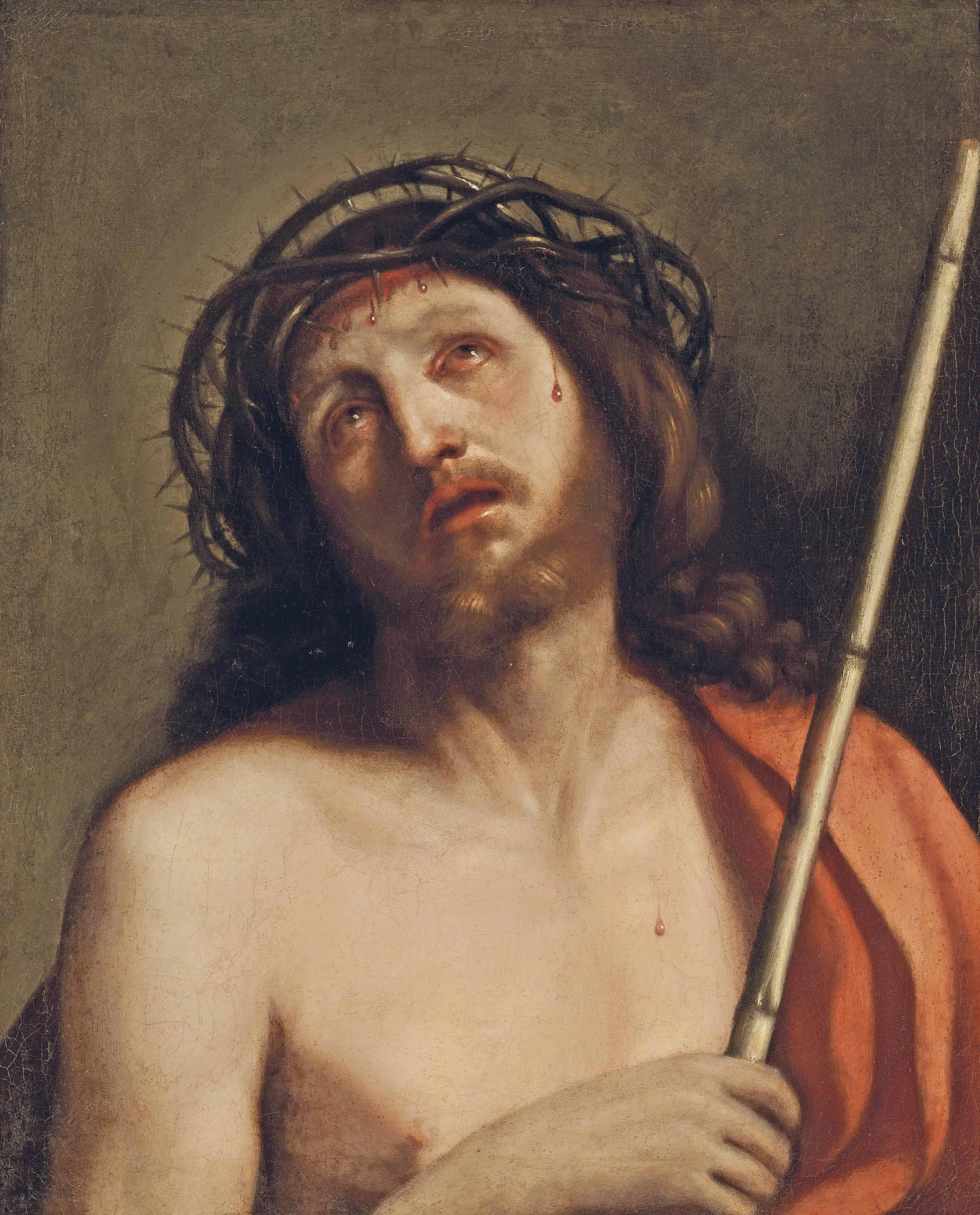 Giovanni Francesco Barbieri — Отличный гомо