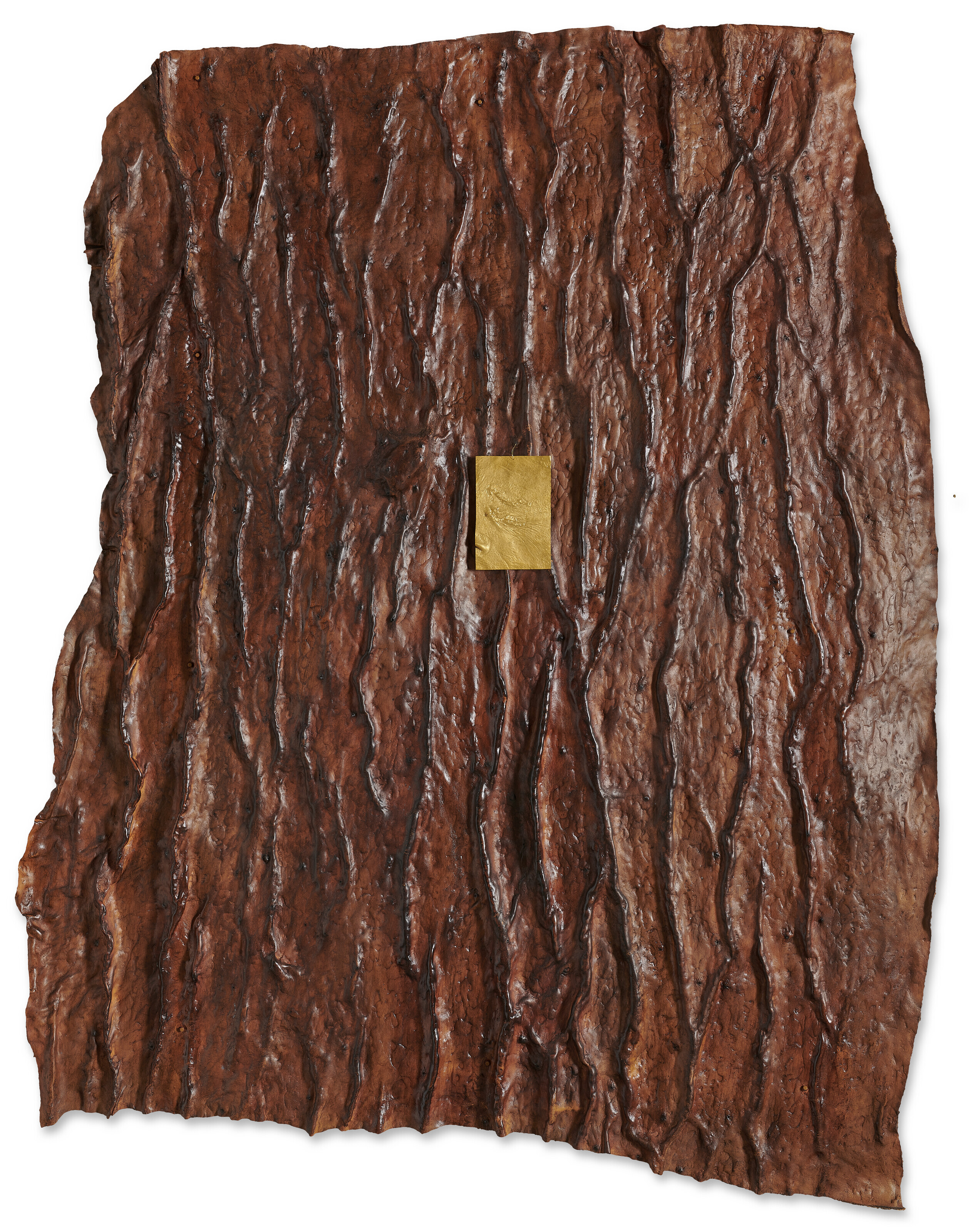 Giuseppe Penone — Споглия д'оро в пелле-ди-седро