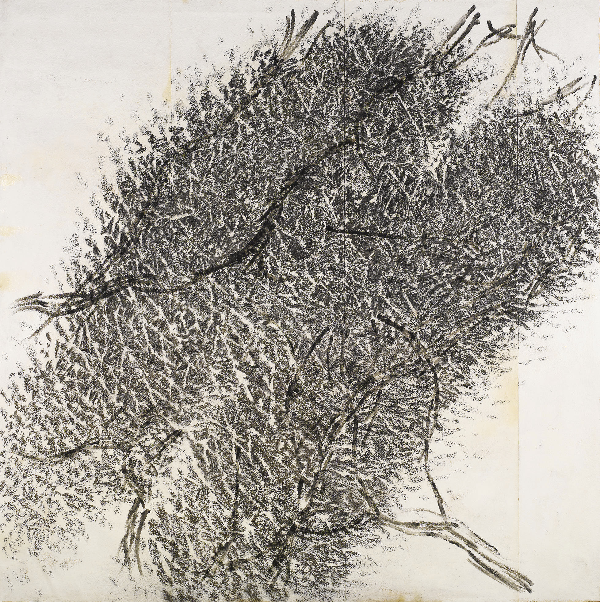Giuseppe Penone — Давление