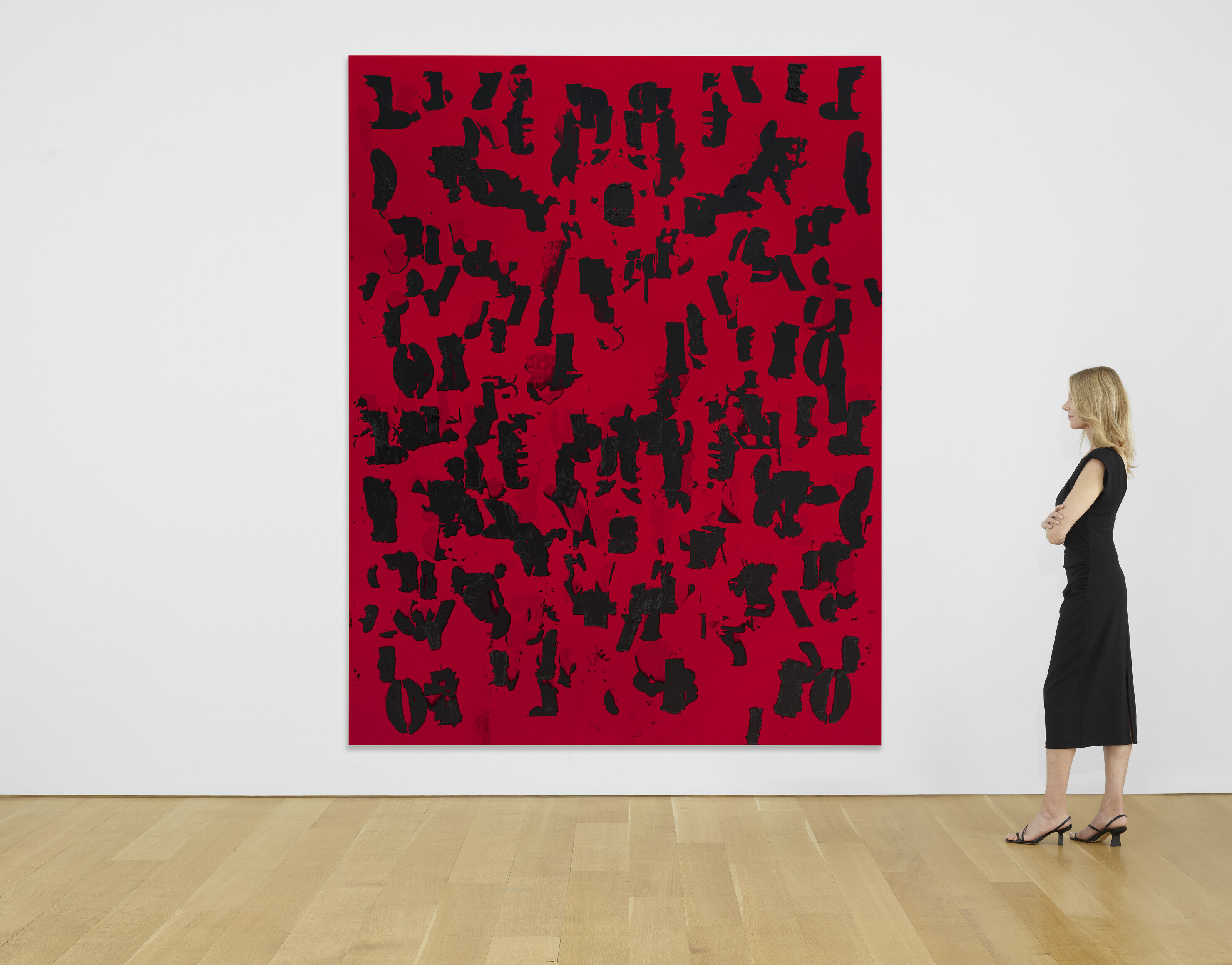 Glenn Ligon — Поле обломков (красное) #1, изображение 3