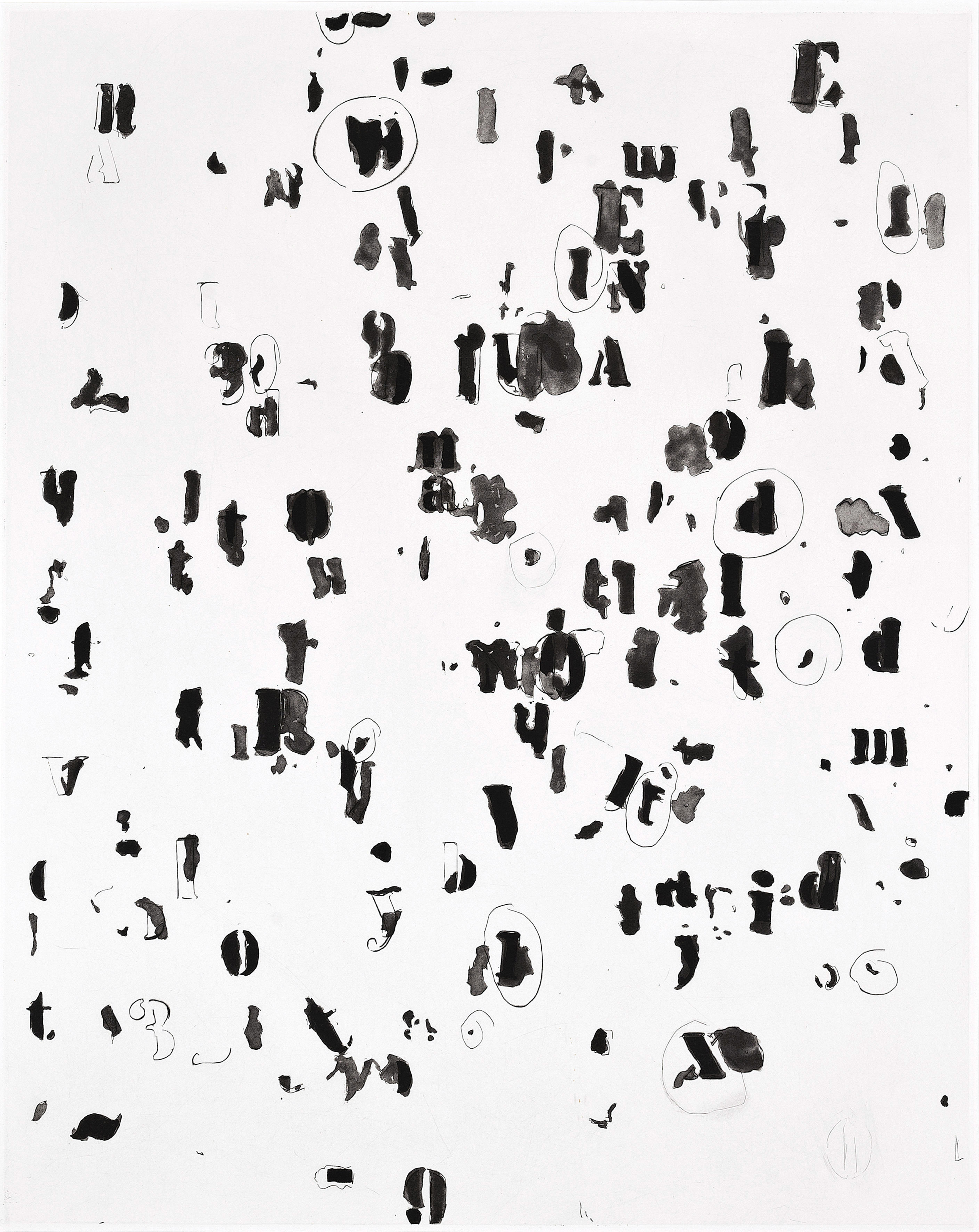 Glenn Ligon — Проект