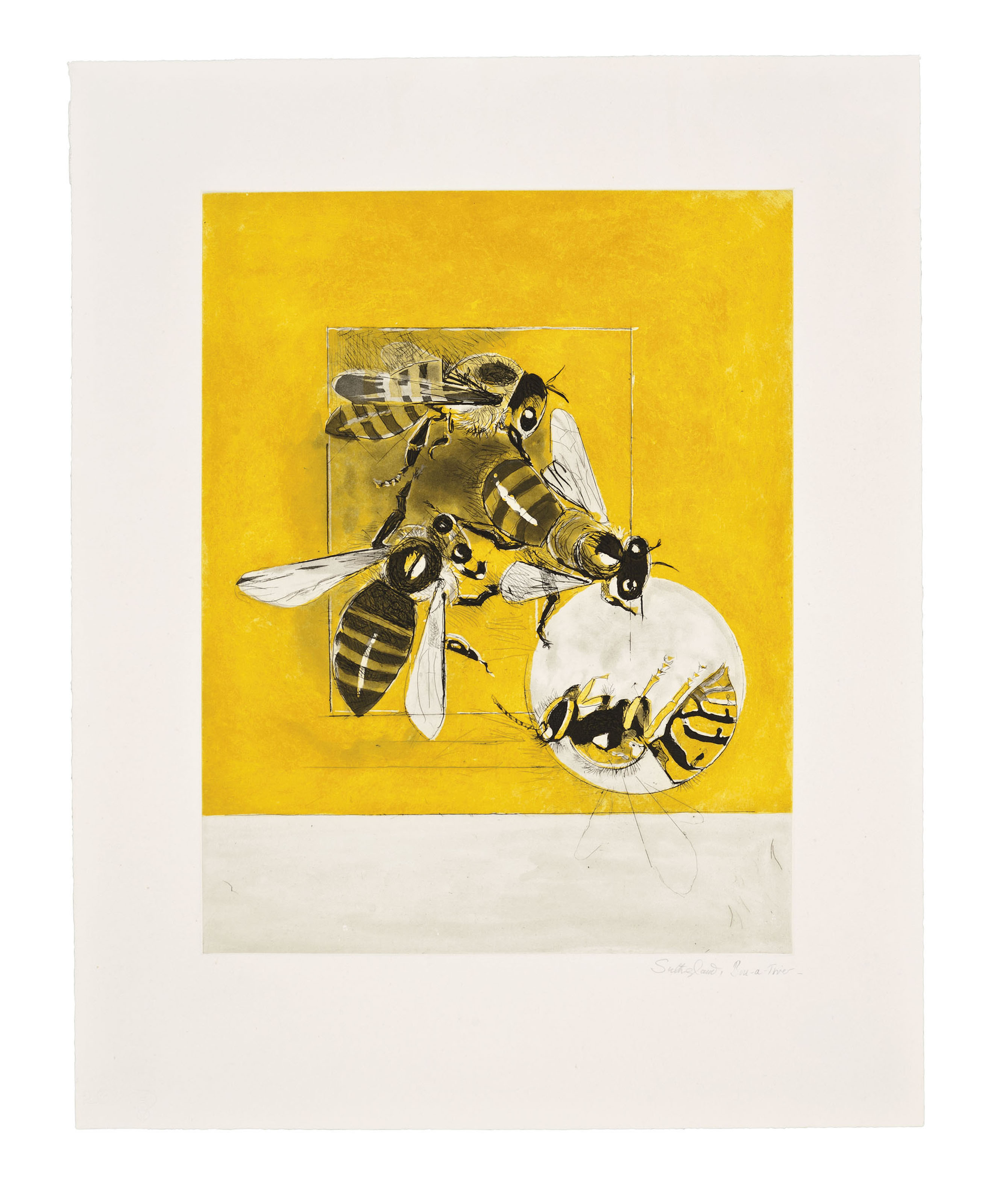 Graham Sutherland — Пчелы, изображение 13