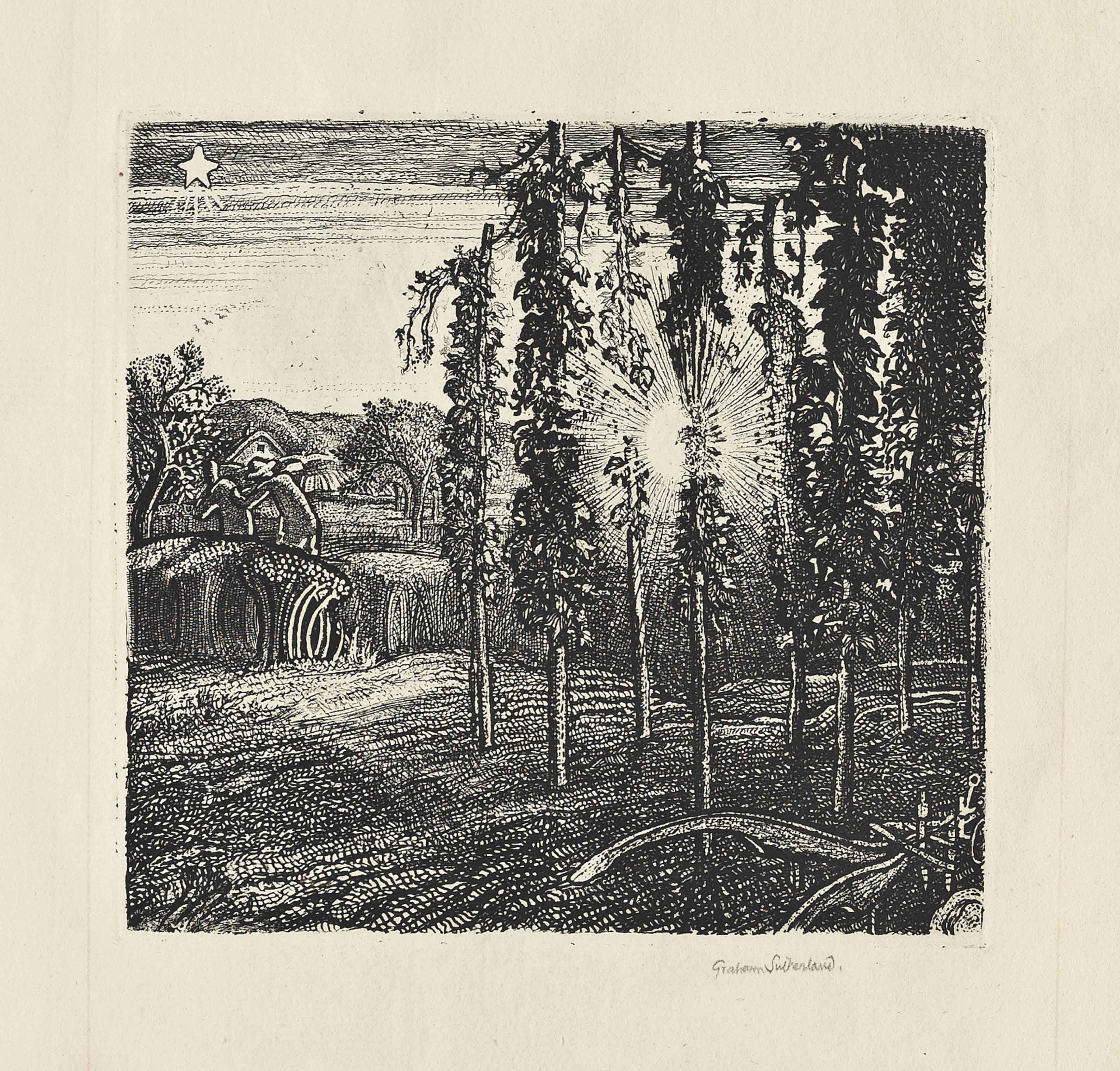 Graham Sutherland — Безумные поля