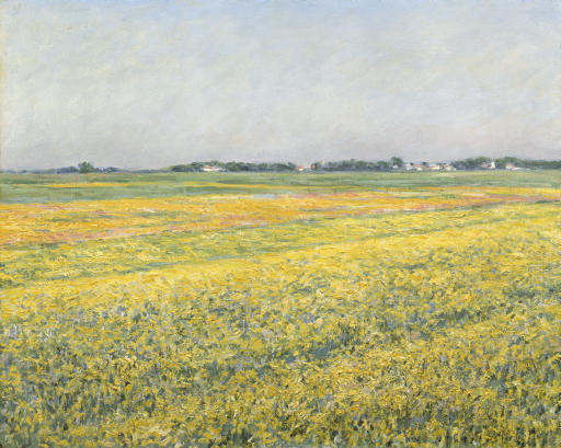 Gustave Caillebotte — Площадь Женевилье, желтые поля