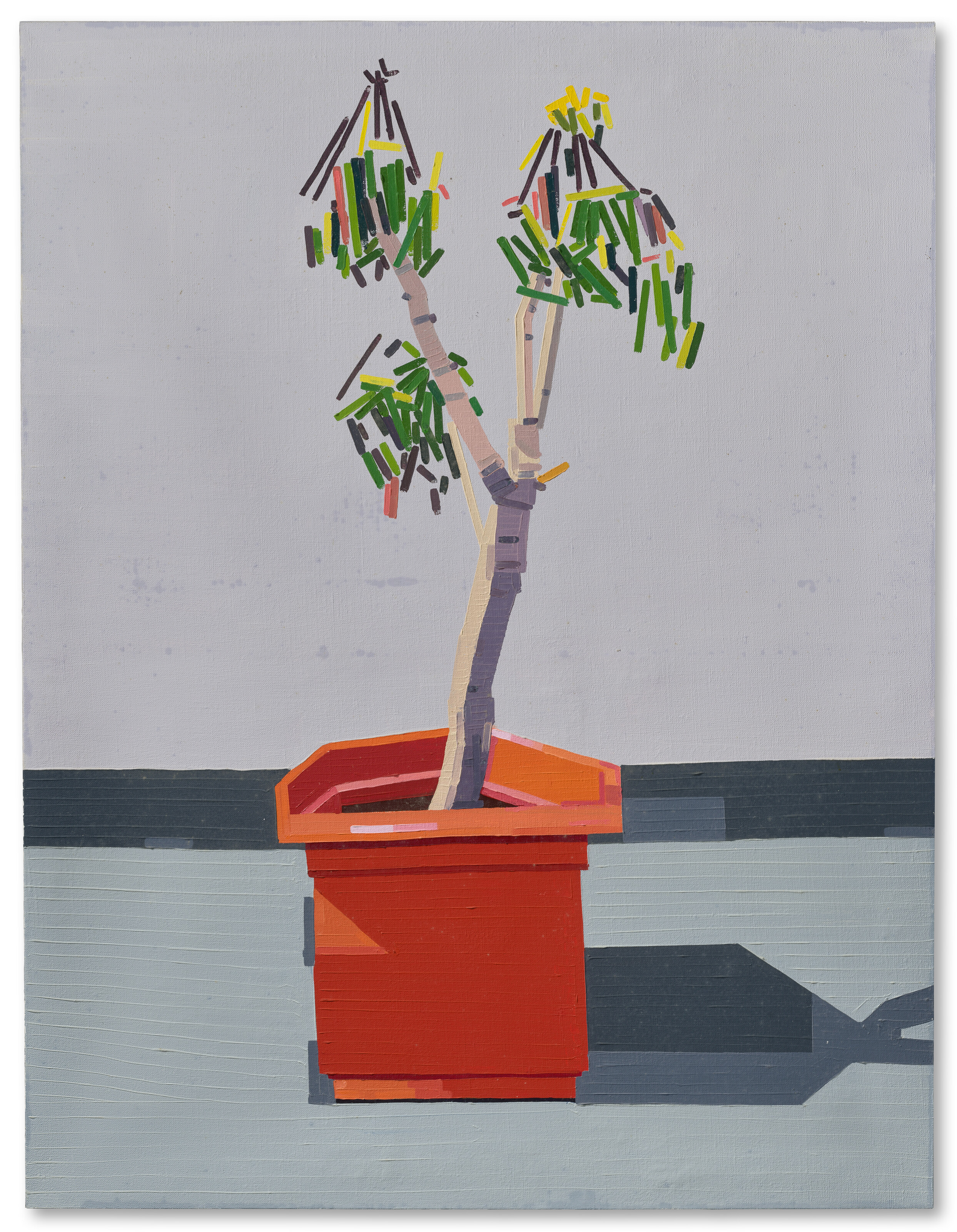 Guy Yanai — Победа
