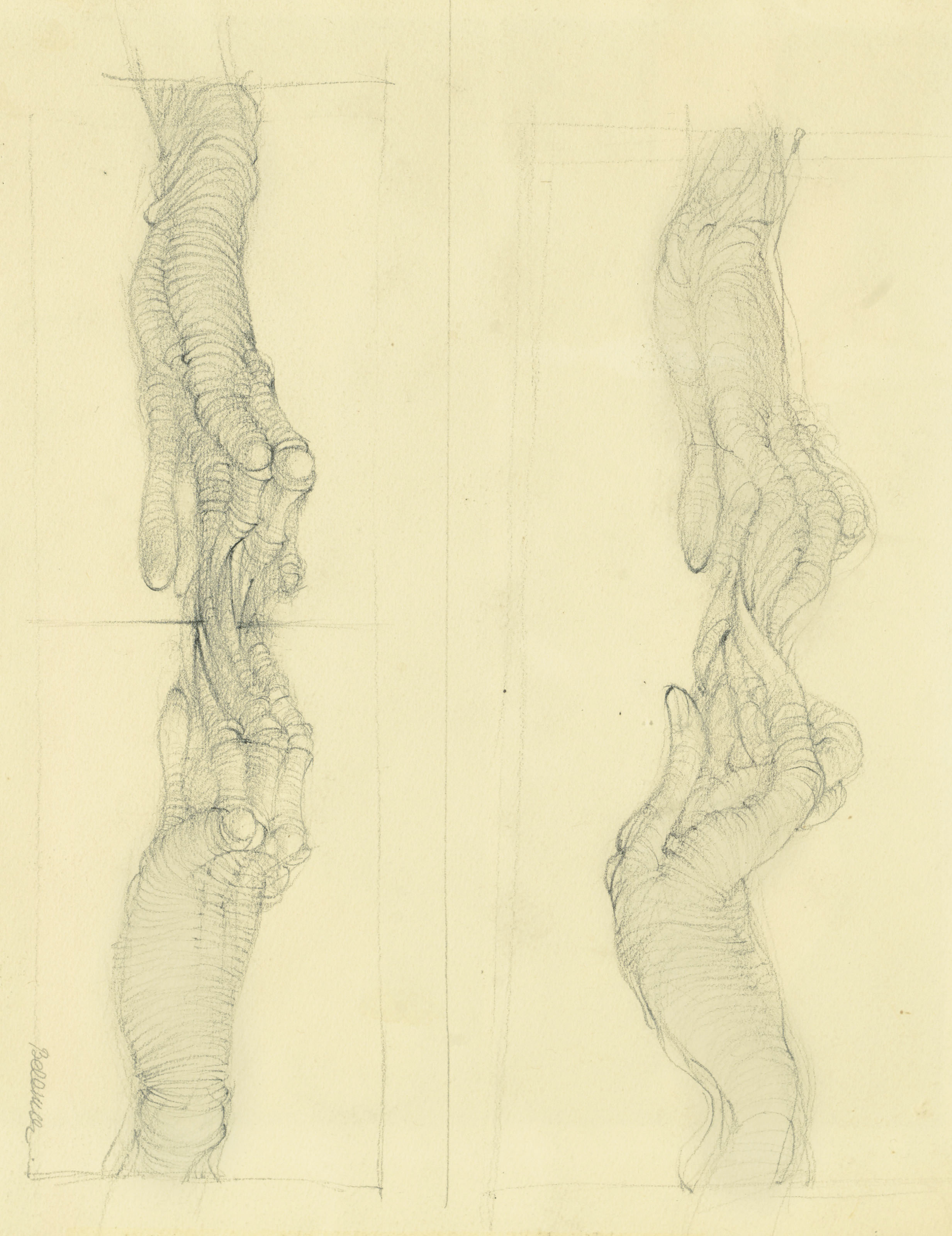 Hans Bellmer — Без титра ( спереди и сзади ), изображение 3