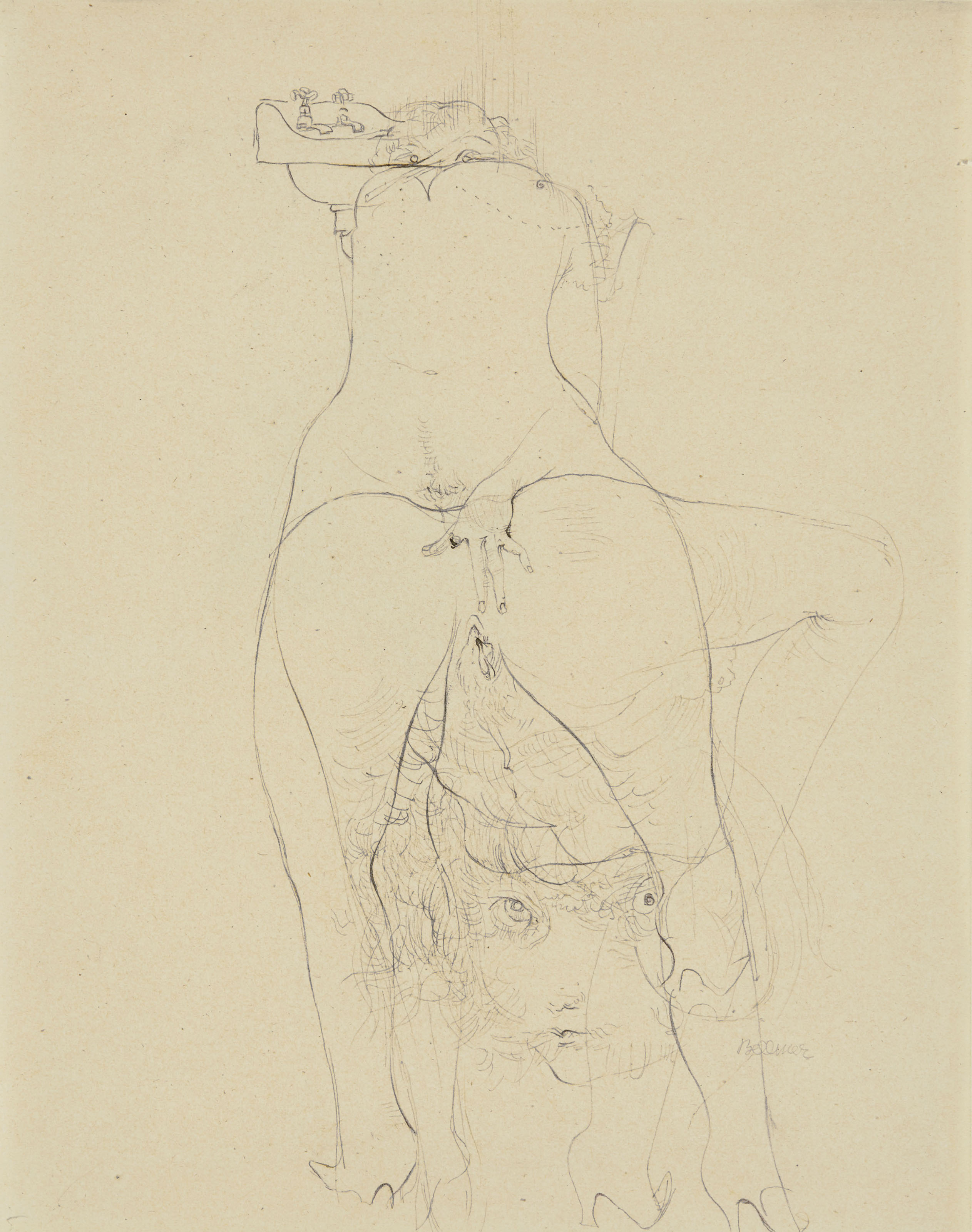 Hans Bellmer — Без названия, этюд для "Истории земли" Жоржа Батая (от начала до конца), изображение 2