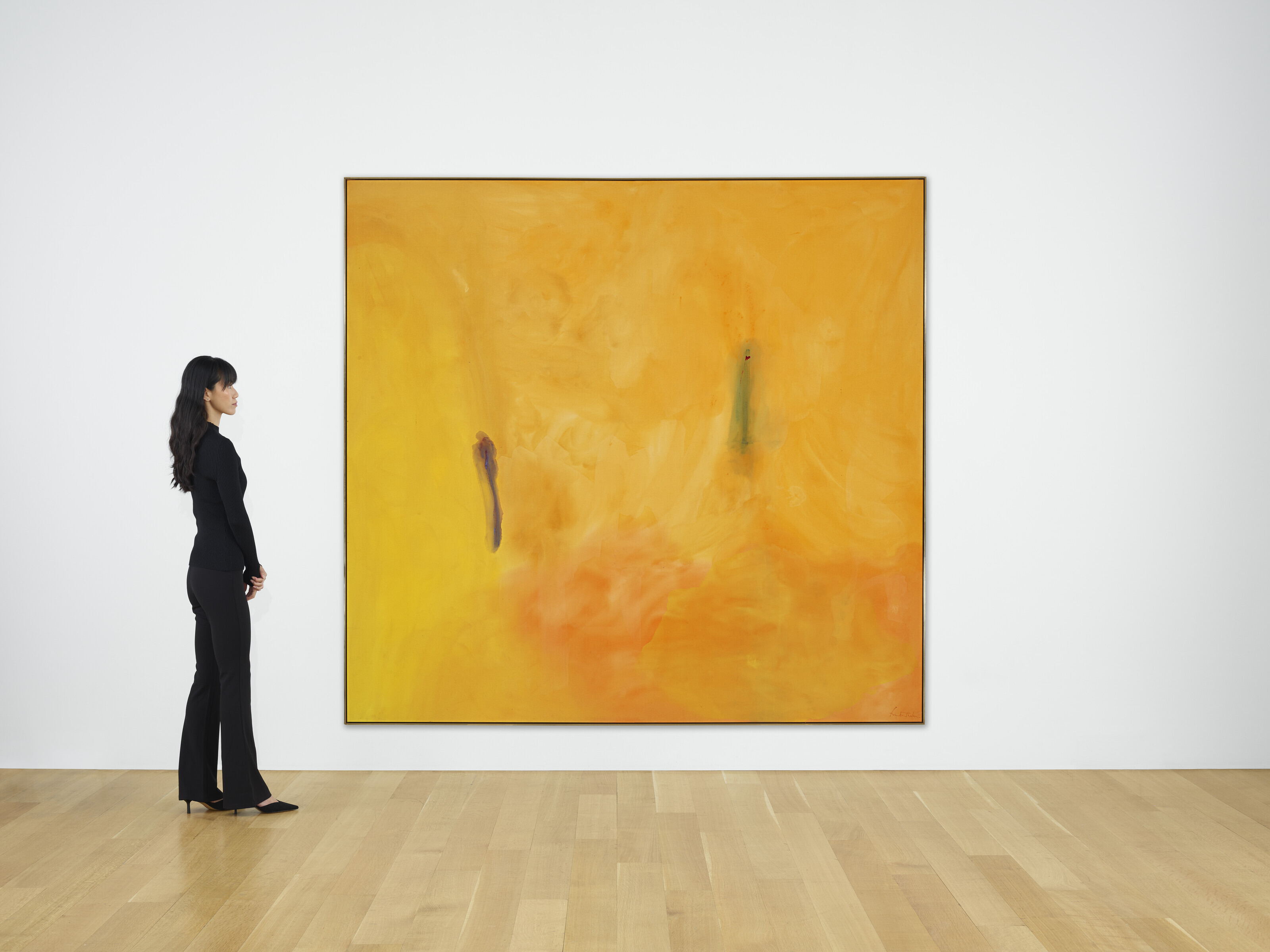 Helen Frankenthaler — Заблаговременность, изображение 3
