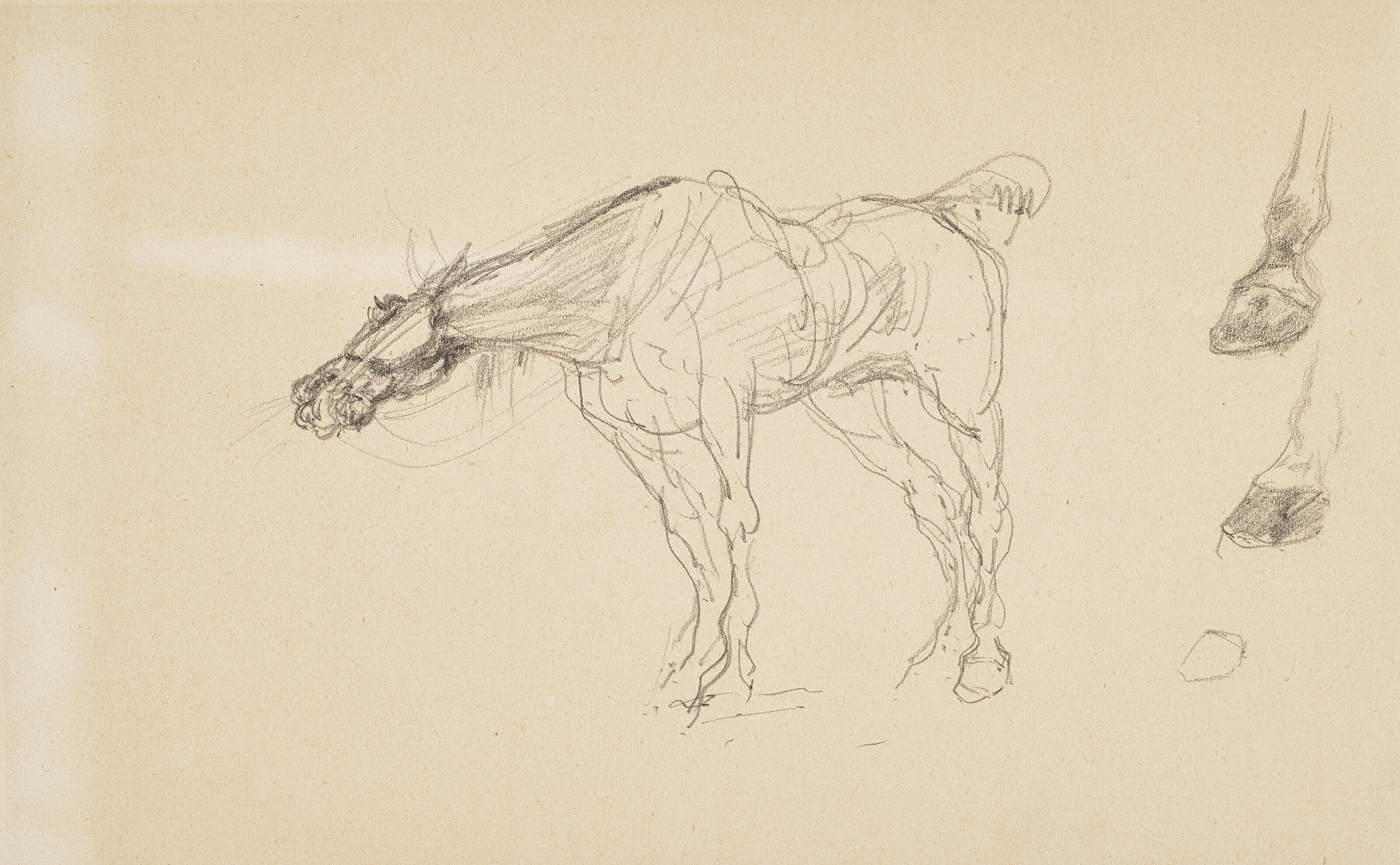 Henri de Toulouse-Lautrec — Шевалье (спереди); Шевалье с саблями (сзади), изображение 3