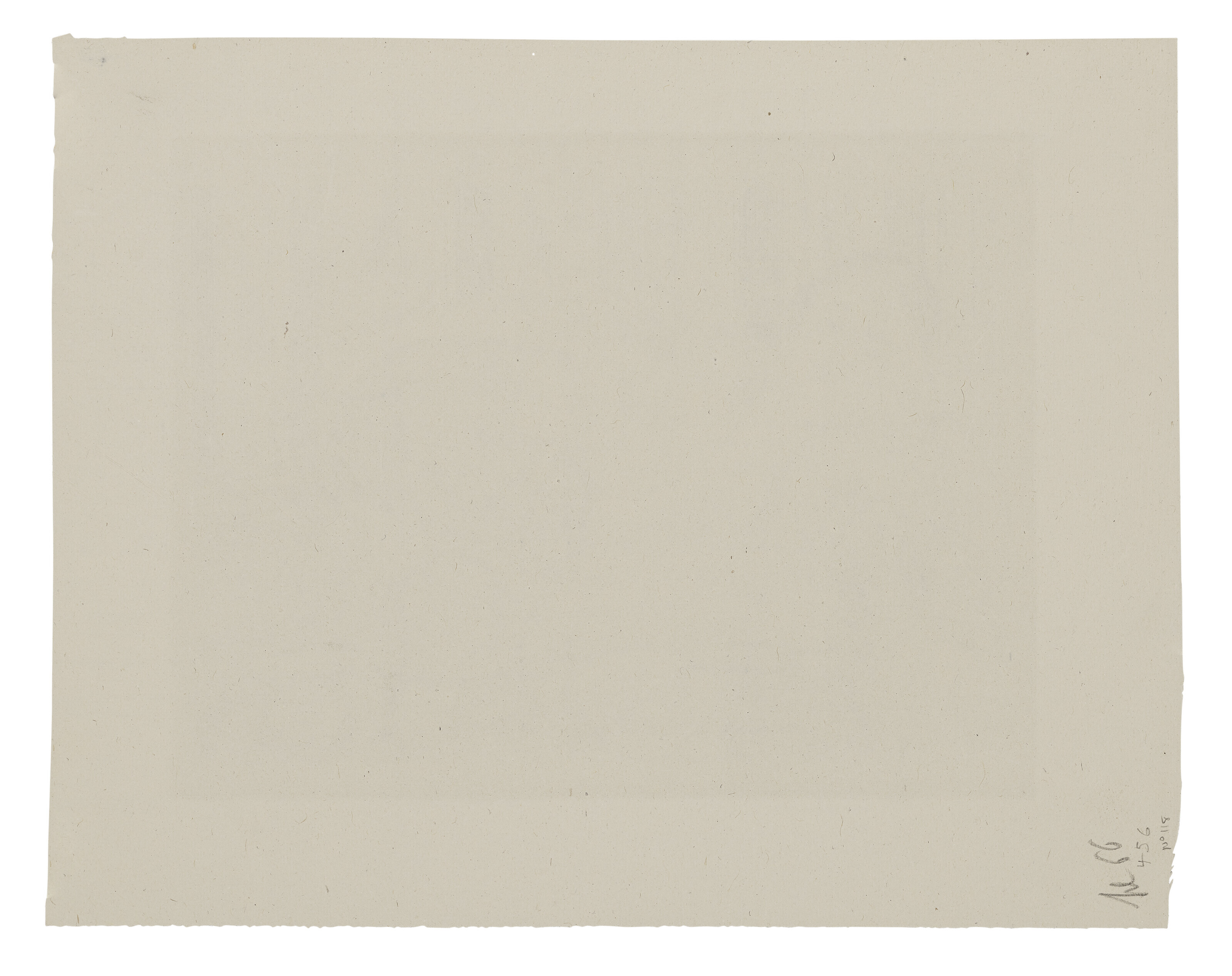 Henri Matisse — Одалиска в кюлоте из атласных румян, изображение 2