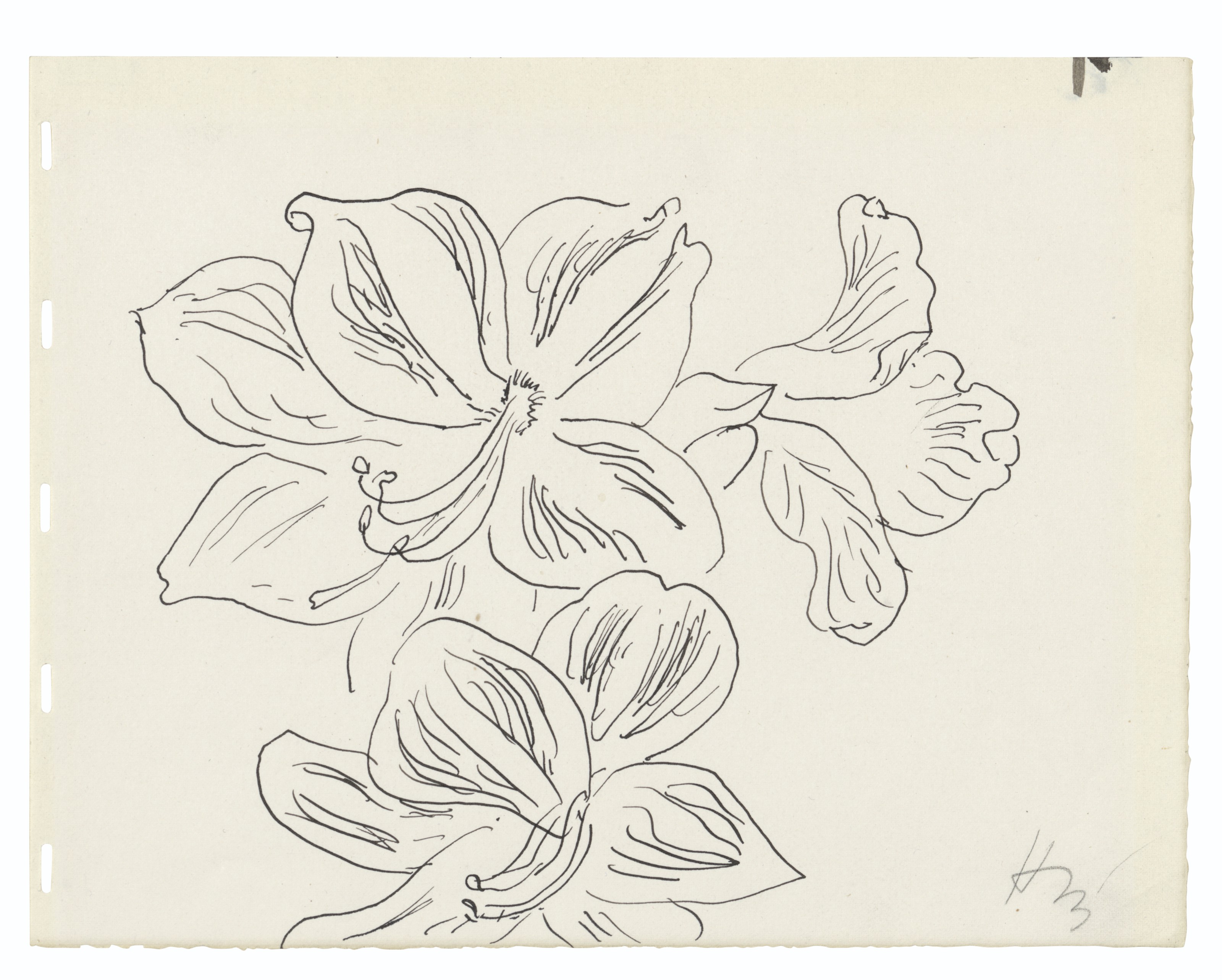 Henri Matisse — Цветы Амариллиса, изображение 2
