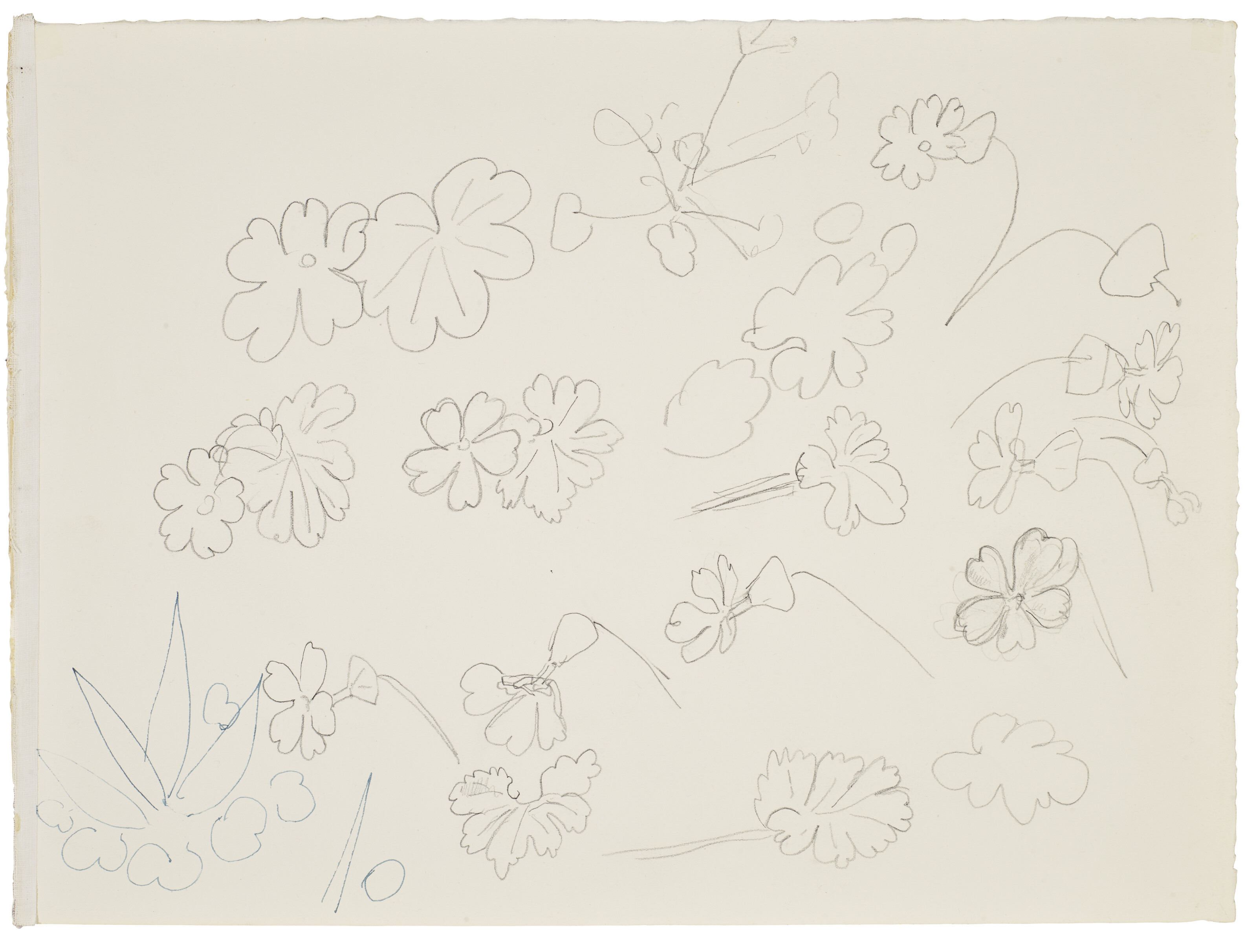 Henri Matisse — Этюды из бук (лицевая сторона); фельетоны (оборотная сторона), изображение 3