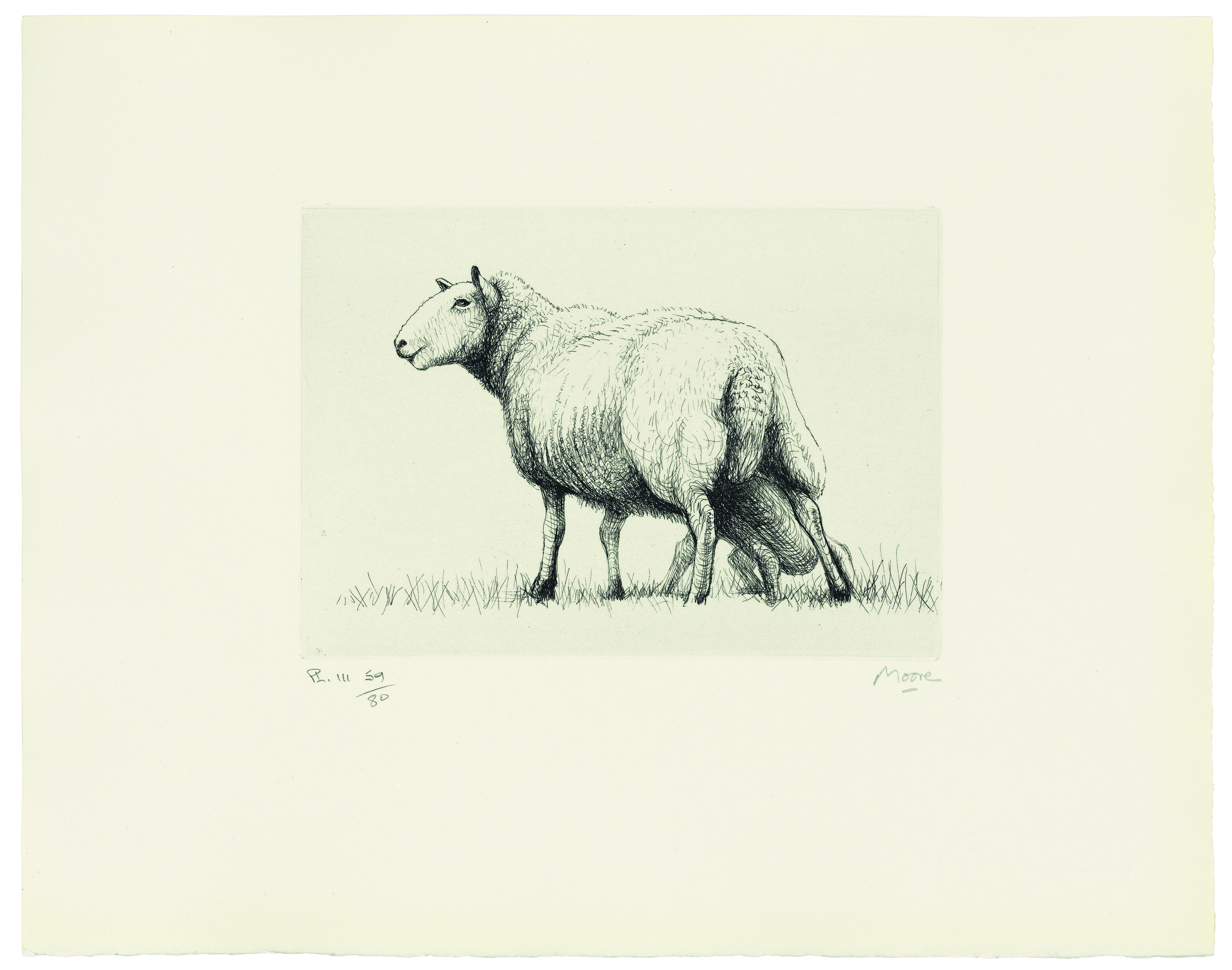 Henry Moore — Овца, изображение 3