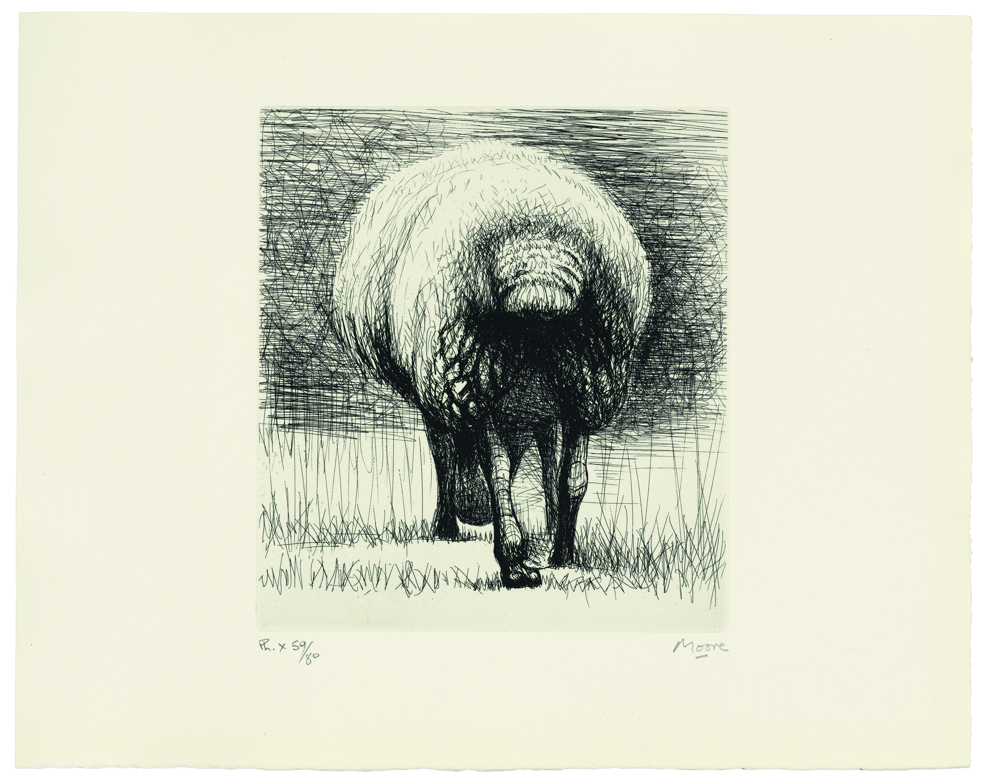 Henry Moore — Овца, изображение 5
