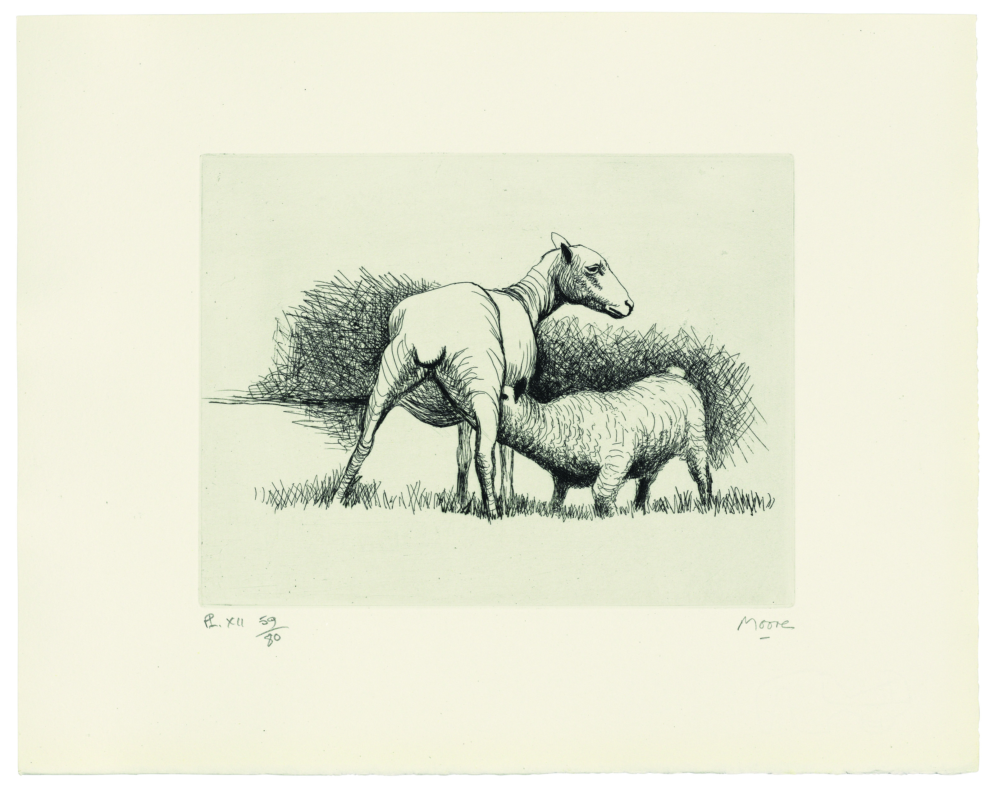 Henry Moore — Овца, изображение 7